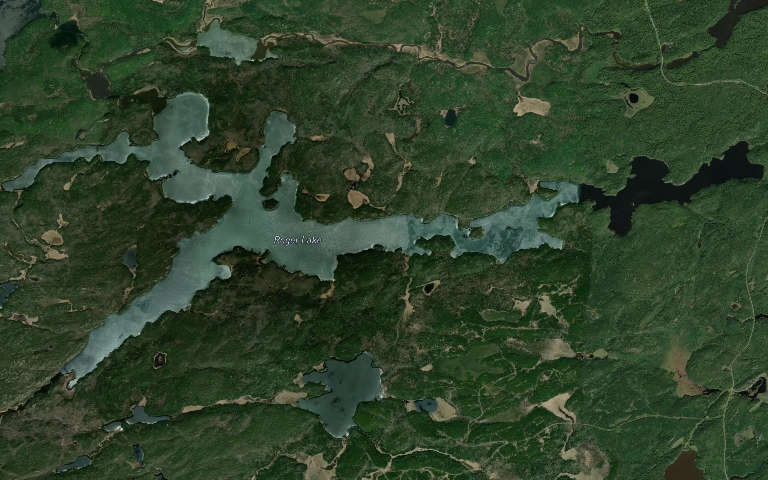 Roger Lake