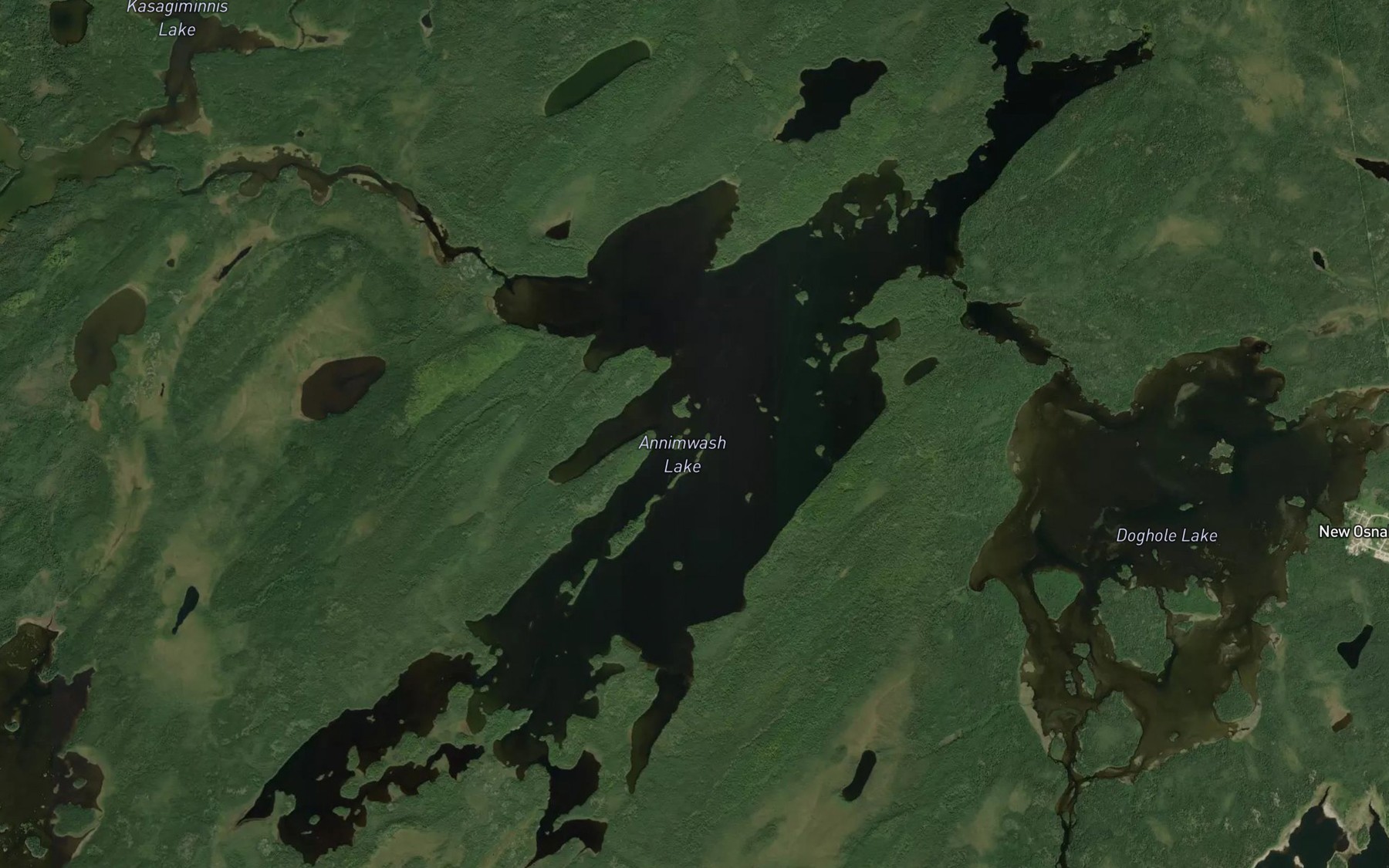 Satellite map of the Annimwash Lake