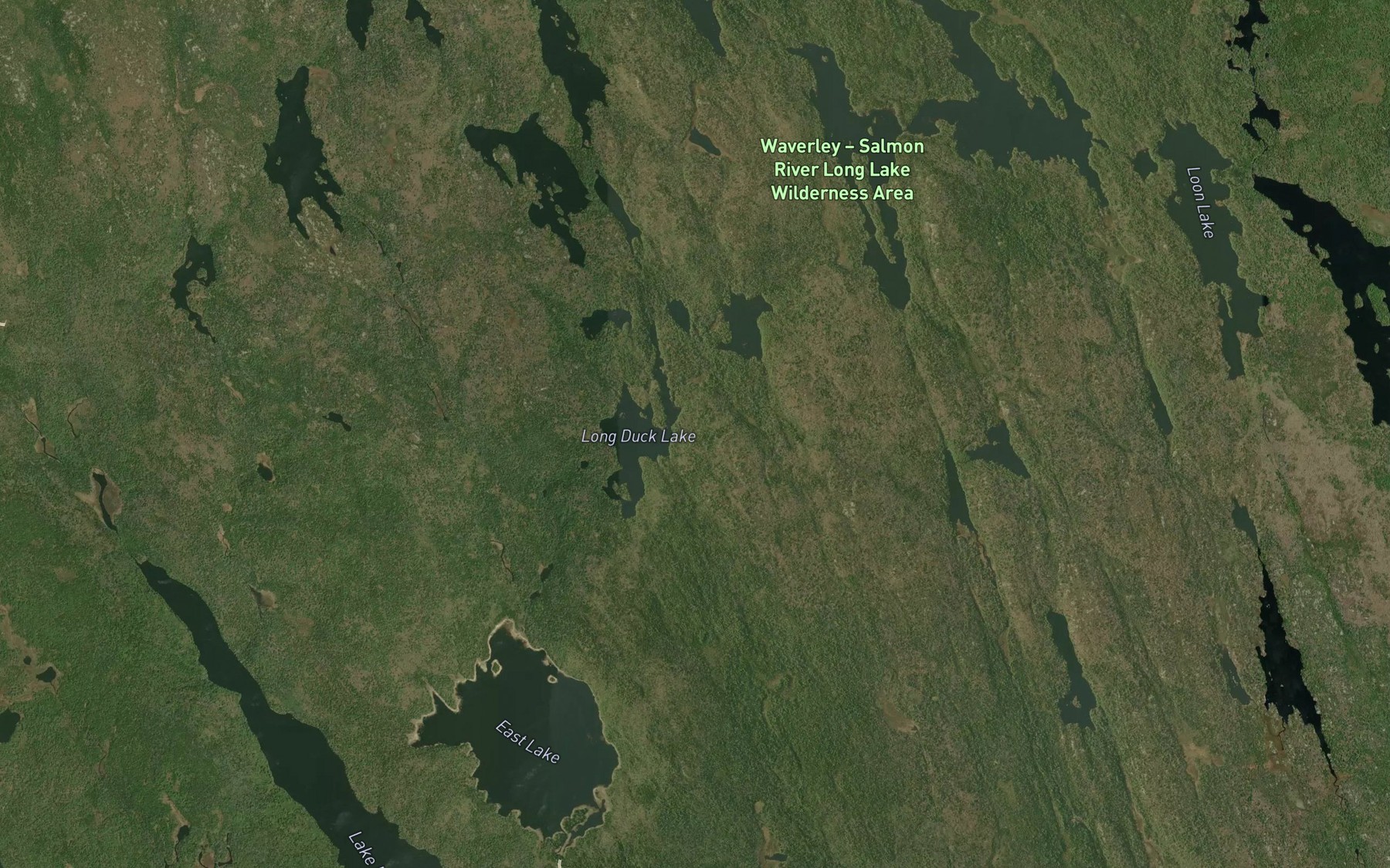 Satellite map of the Jim Grant Ponds