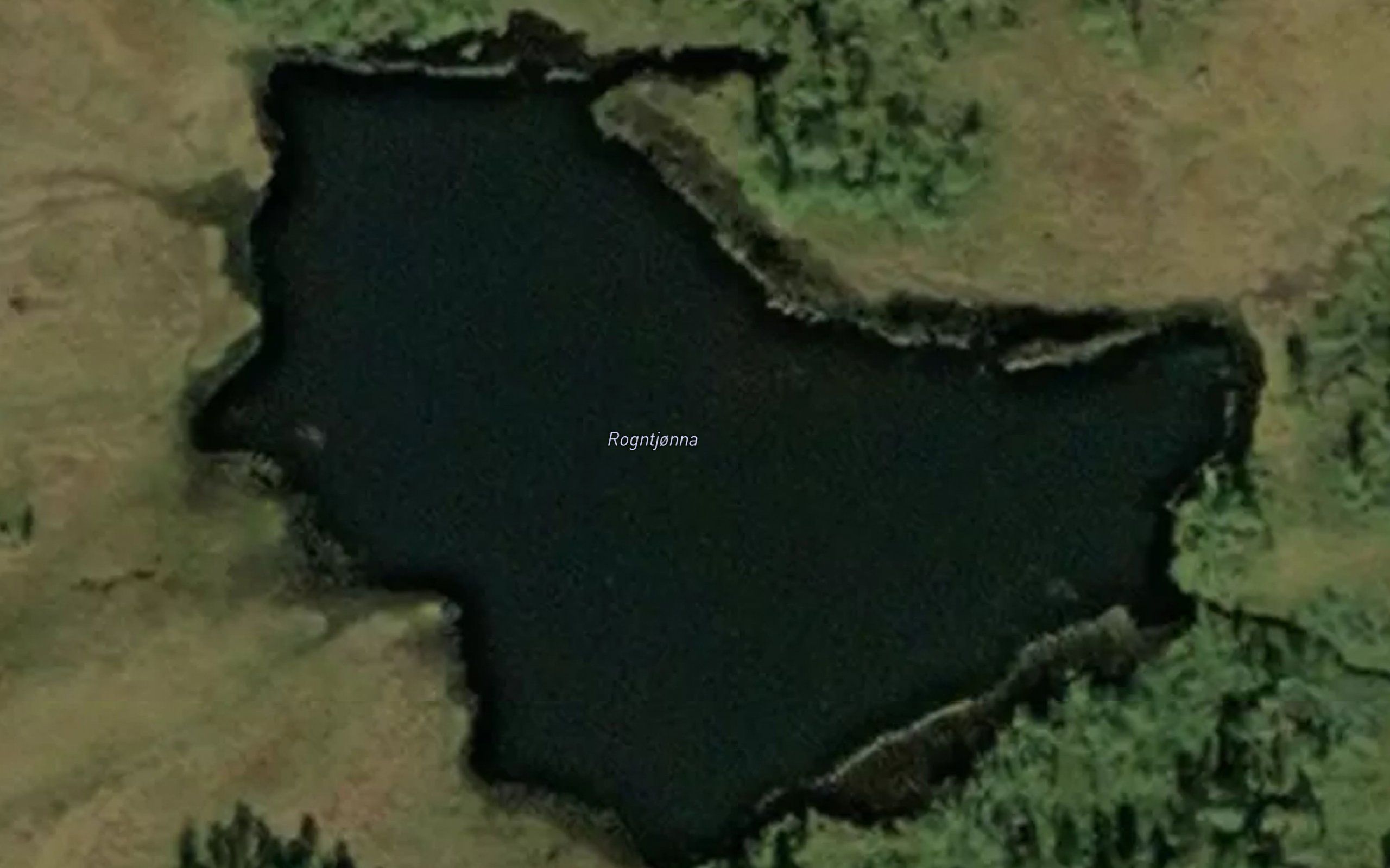 Rognstjorna