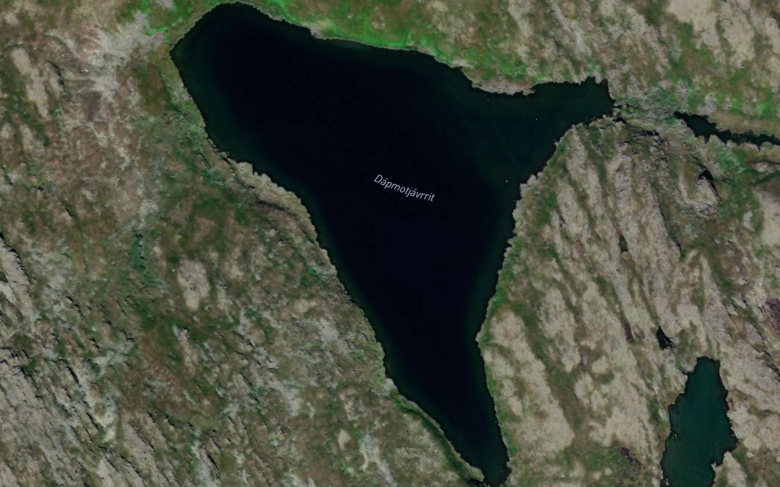 Dapmotjavrrit