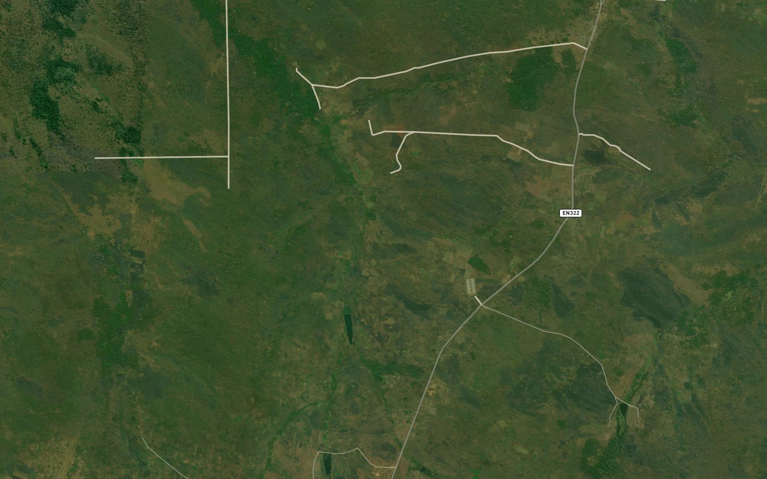 Anguia