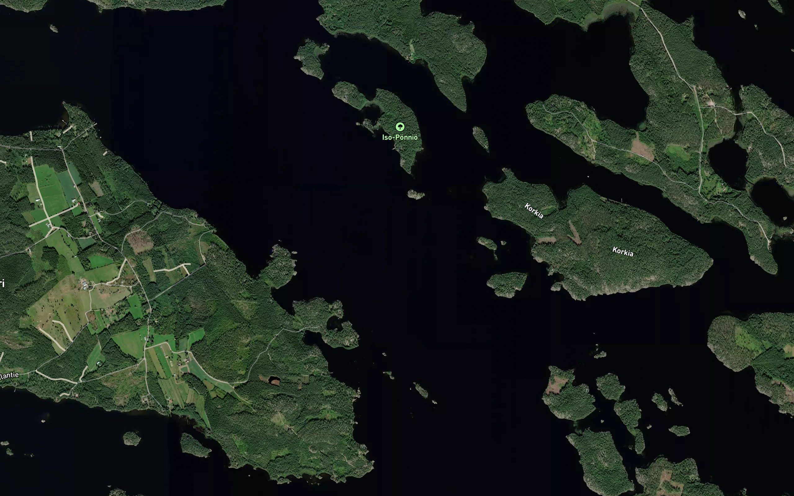 Salonselka