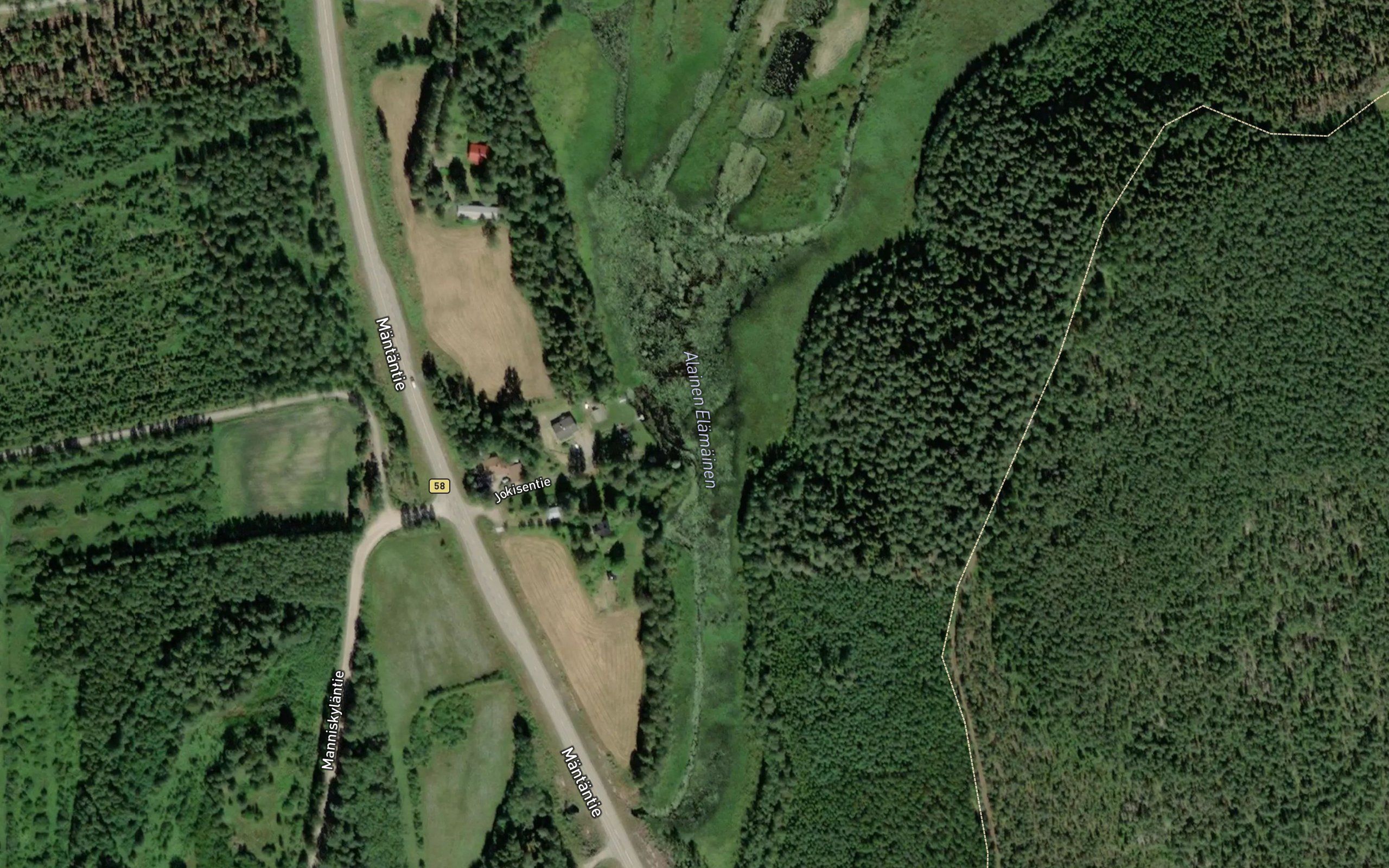 Alainen-Elamainen