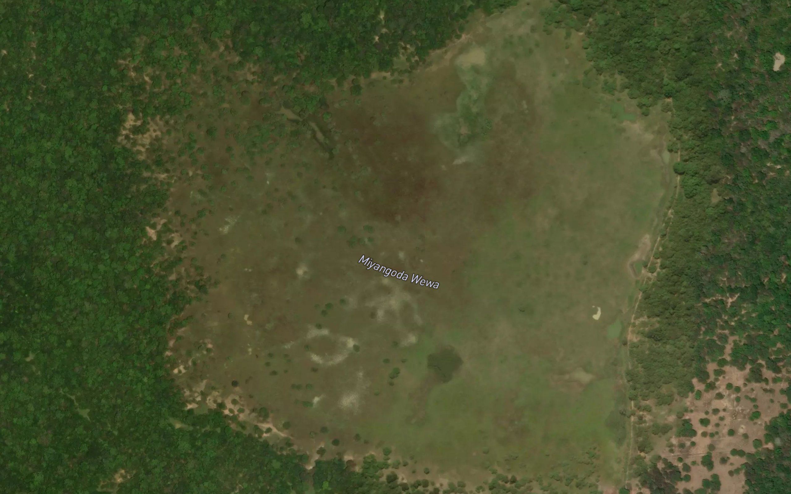 Miyangoda Wewa