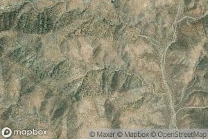 Chuckawalla Bill Spring