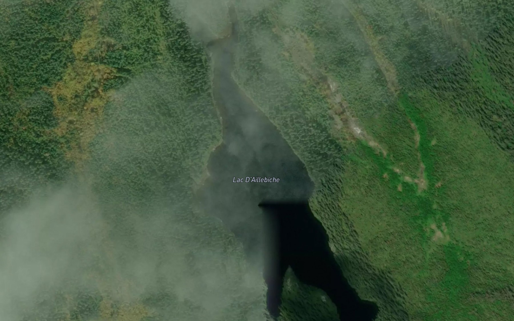 Satellite map of the Lac D'Aillebiche