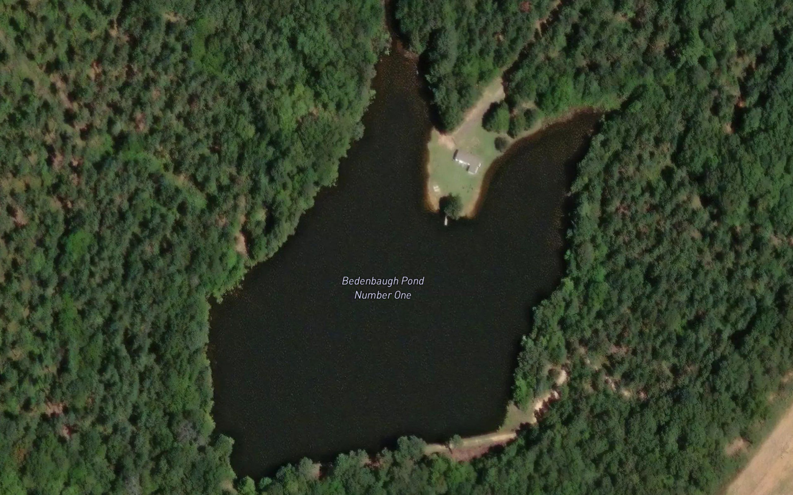 Bedenbaugh Pond Number One
