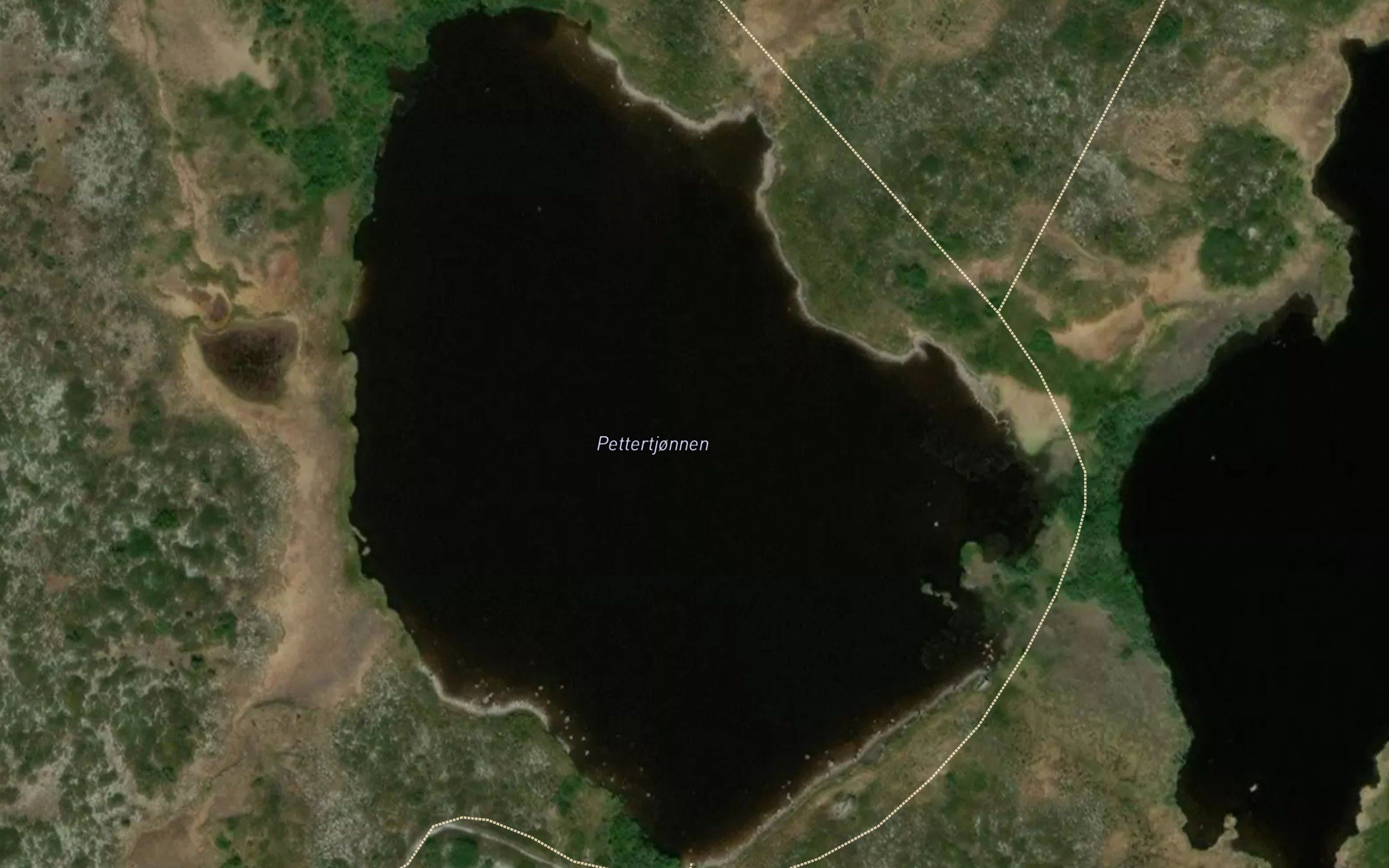 Pettertjornene