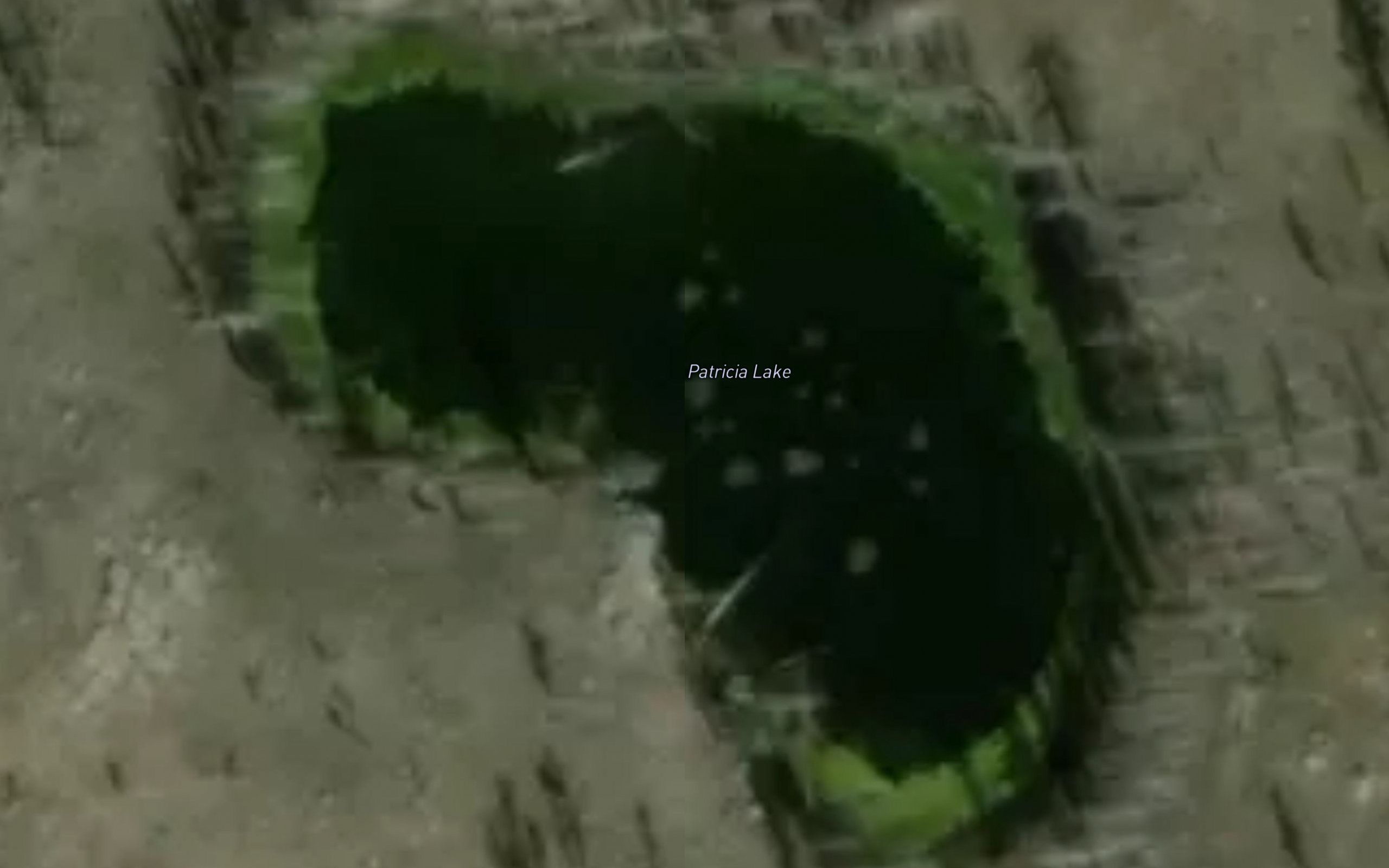 Patricia Lake