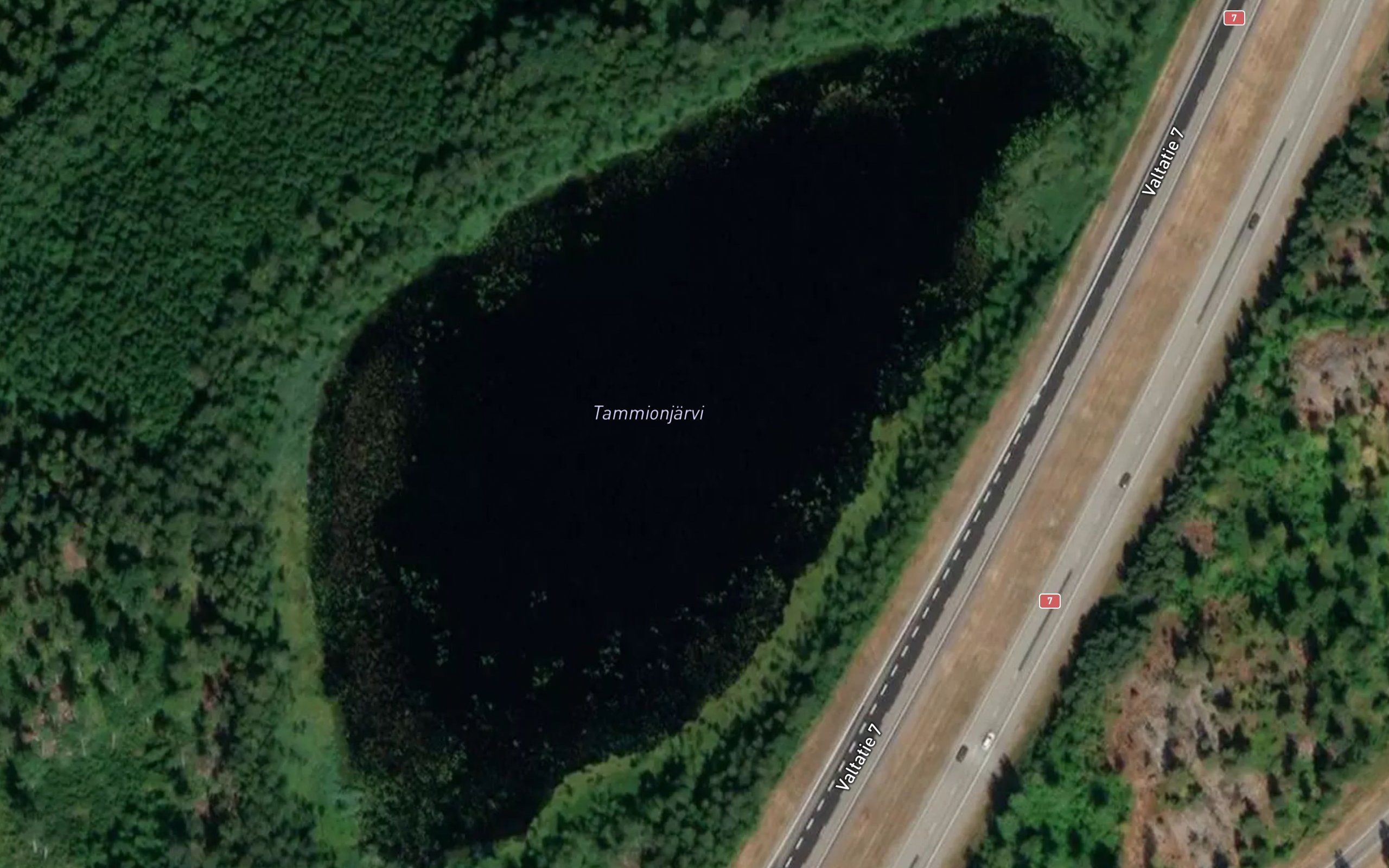 Tammiotrasket