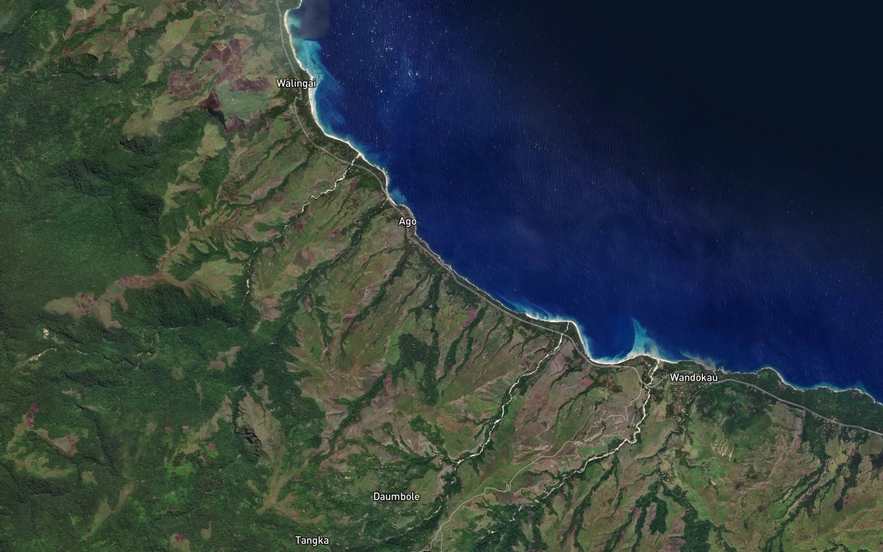 Satellite map of the Ago River