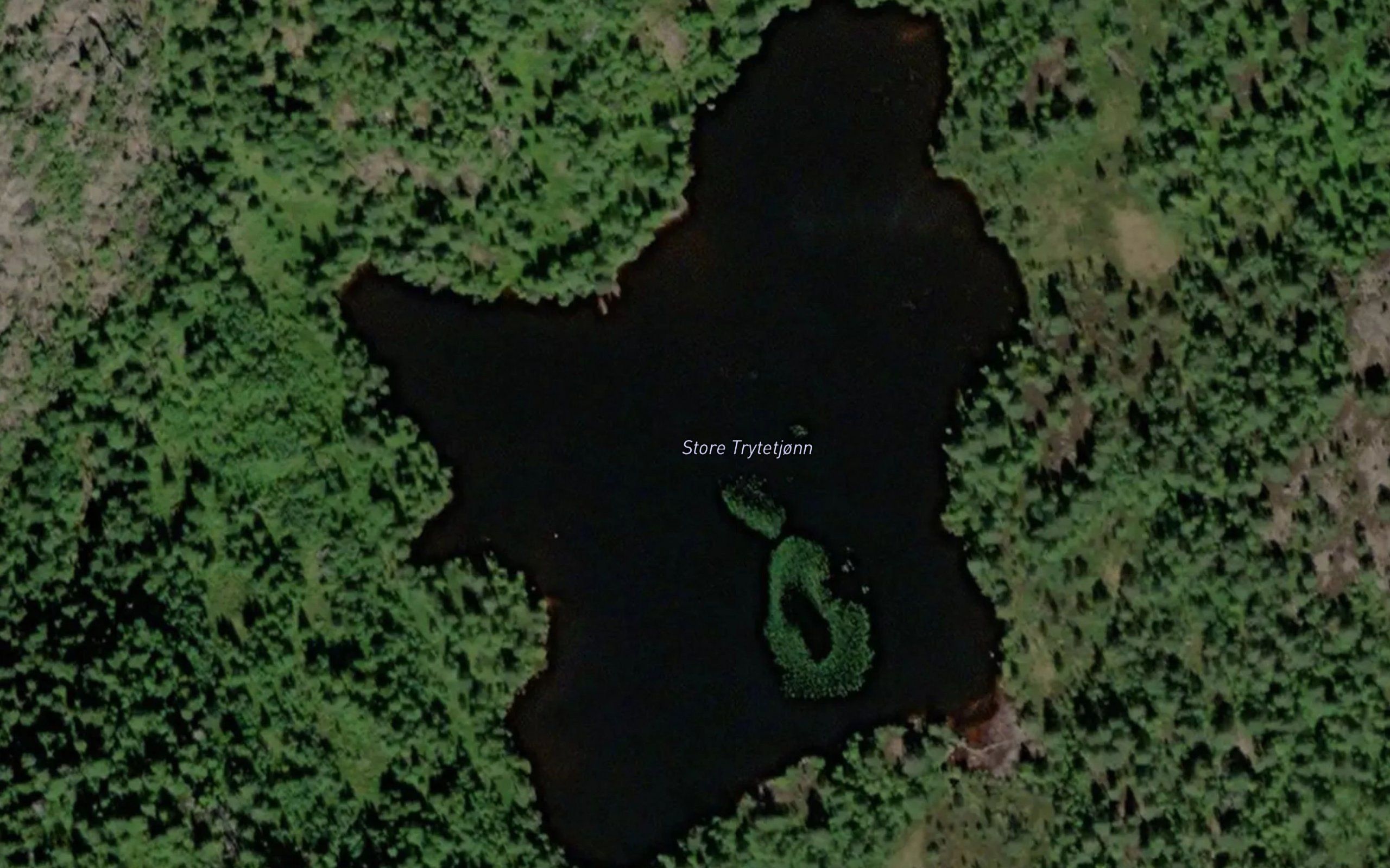 Trytetjornane