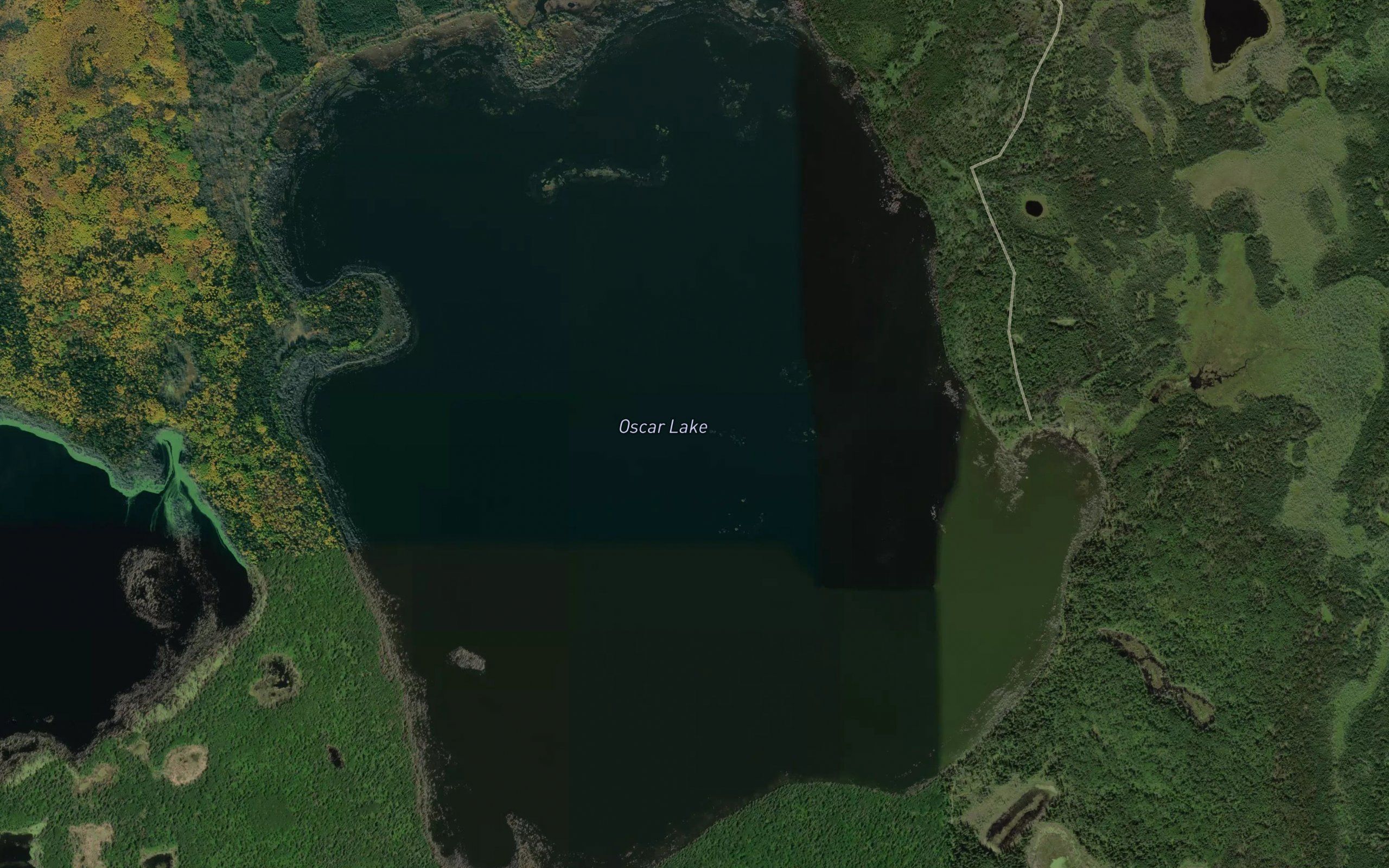 Oscar Lake