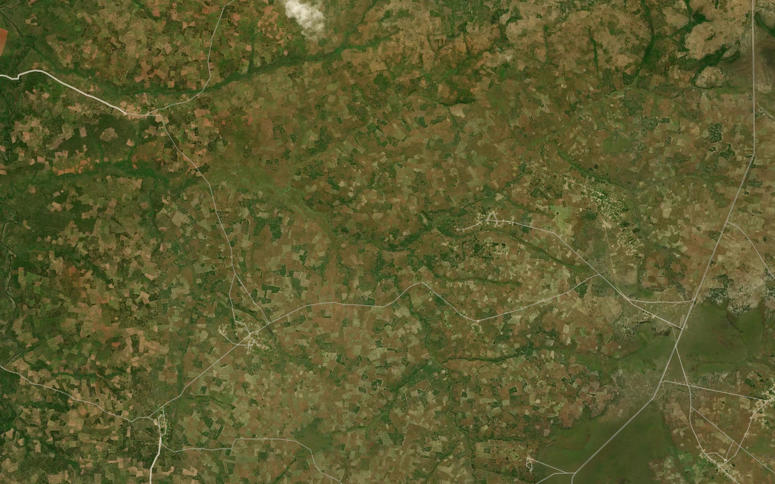 Cassangua