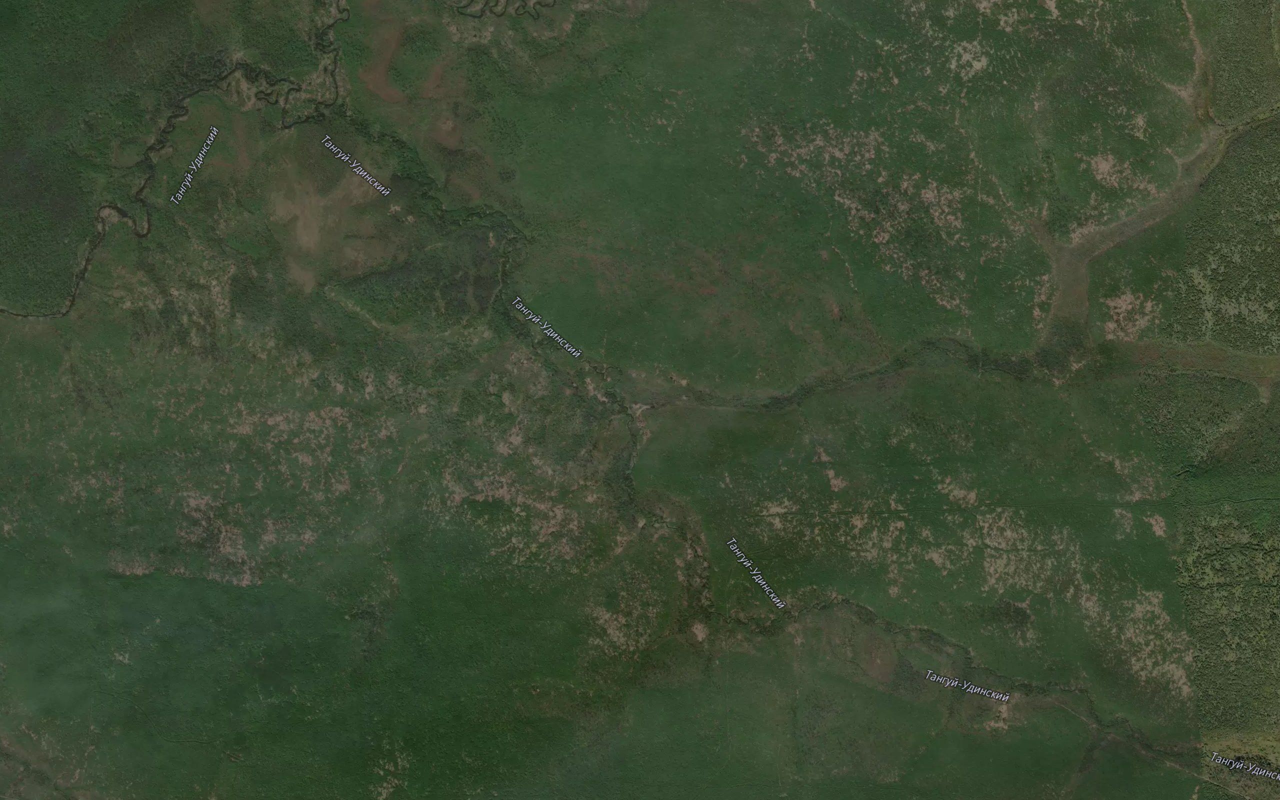 Kulakova