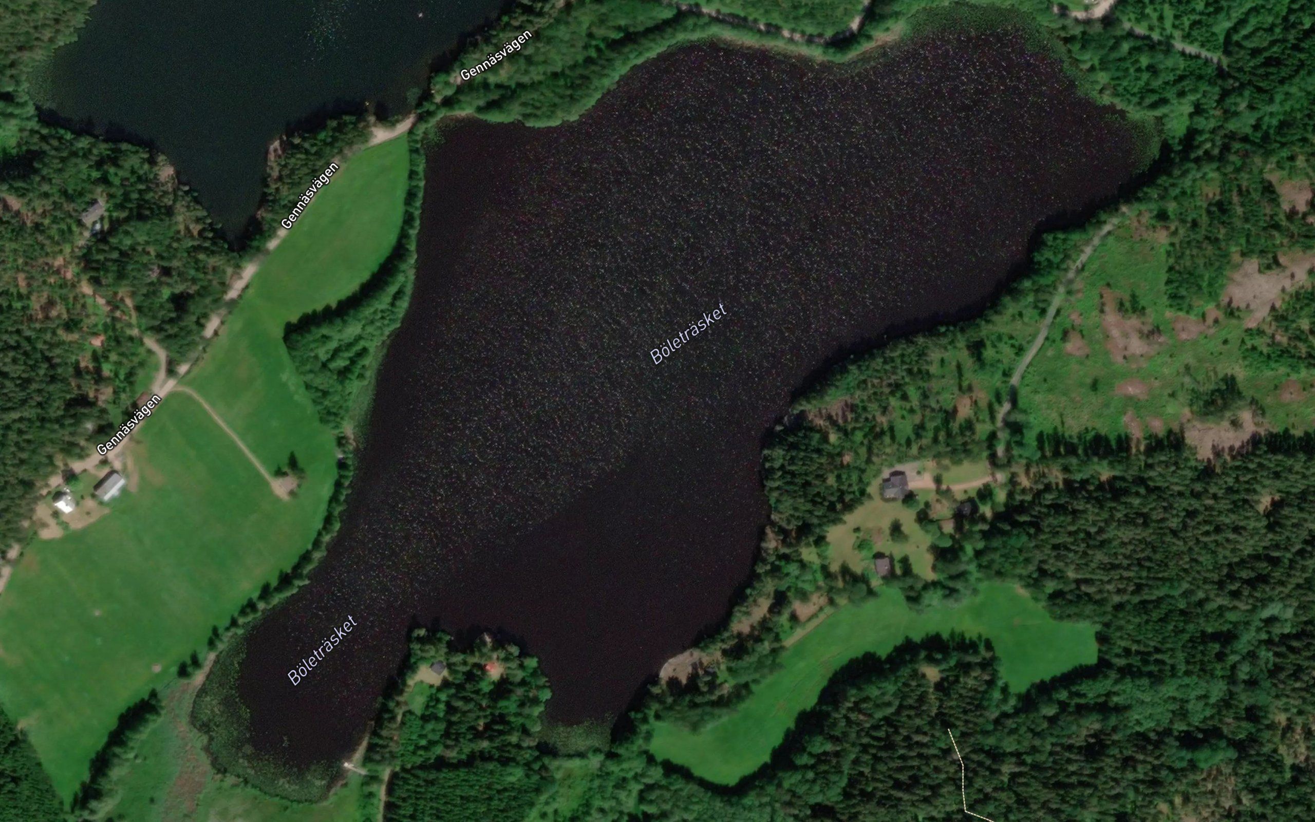 Boletrasket