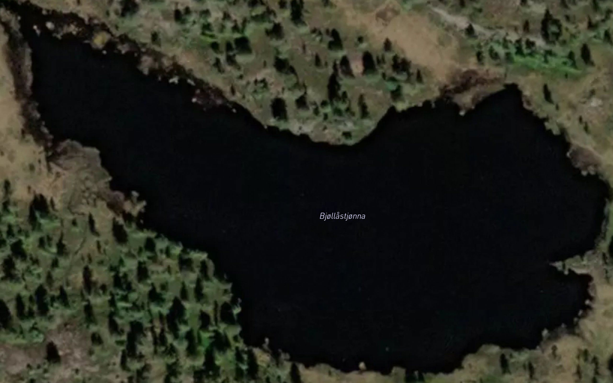 Bjollastjonna