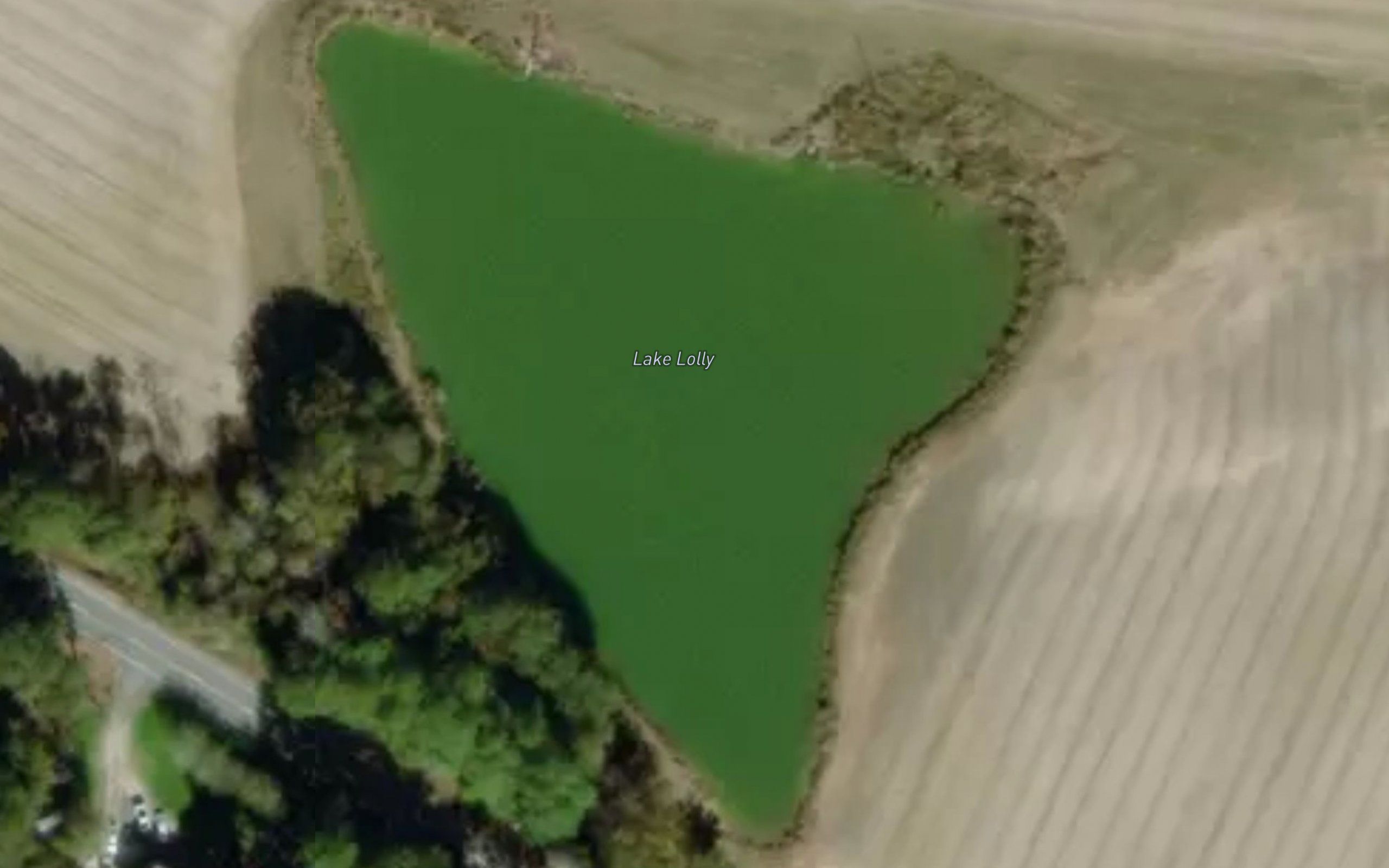 Lake Lolly