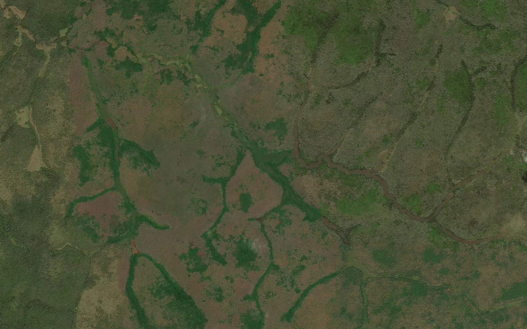Satellite map of the Mamba