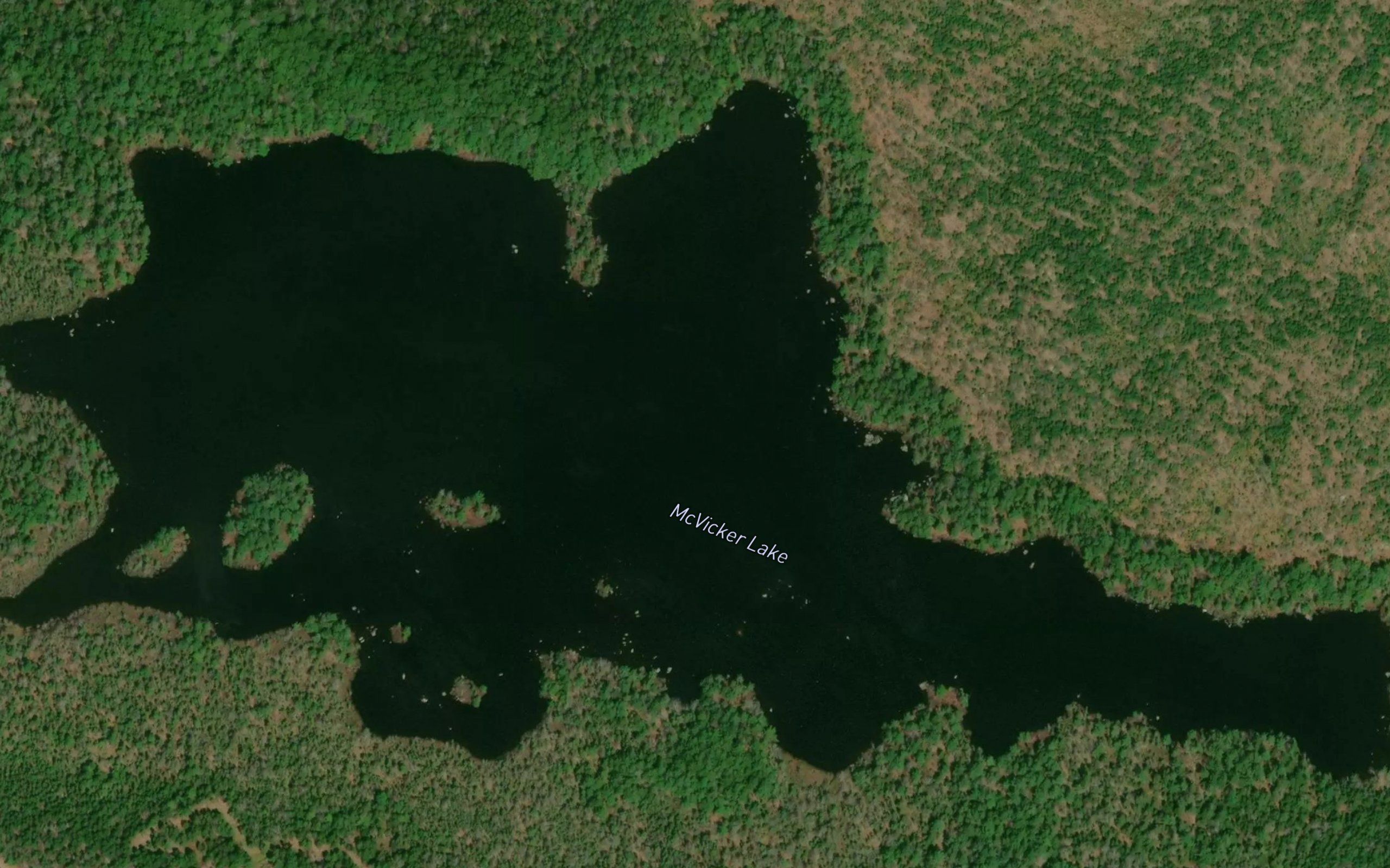 McVicker Lake