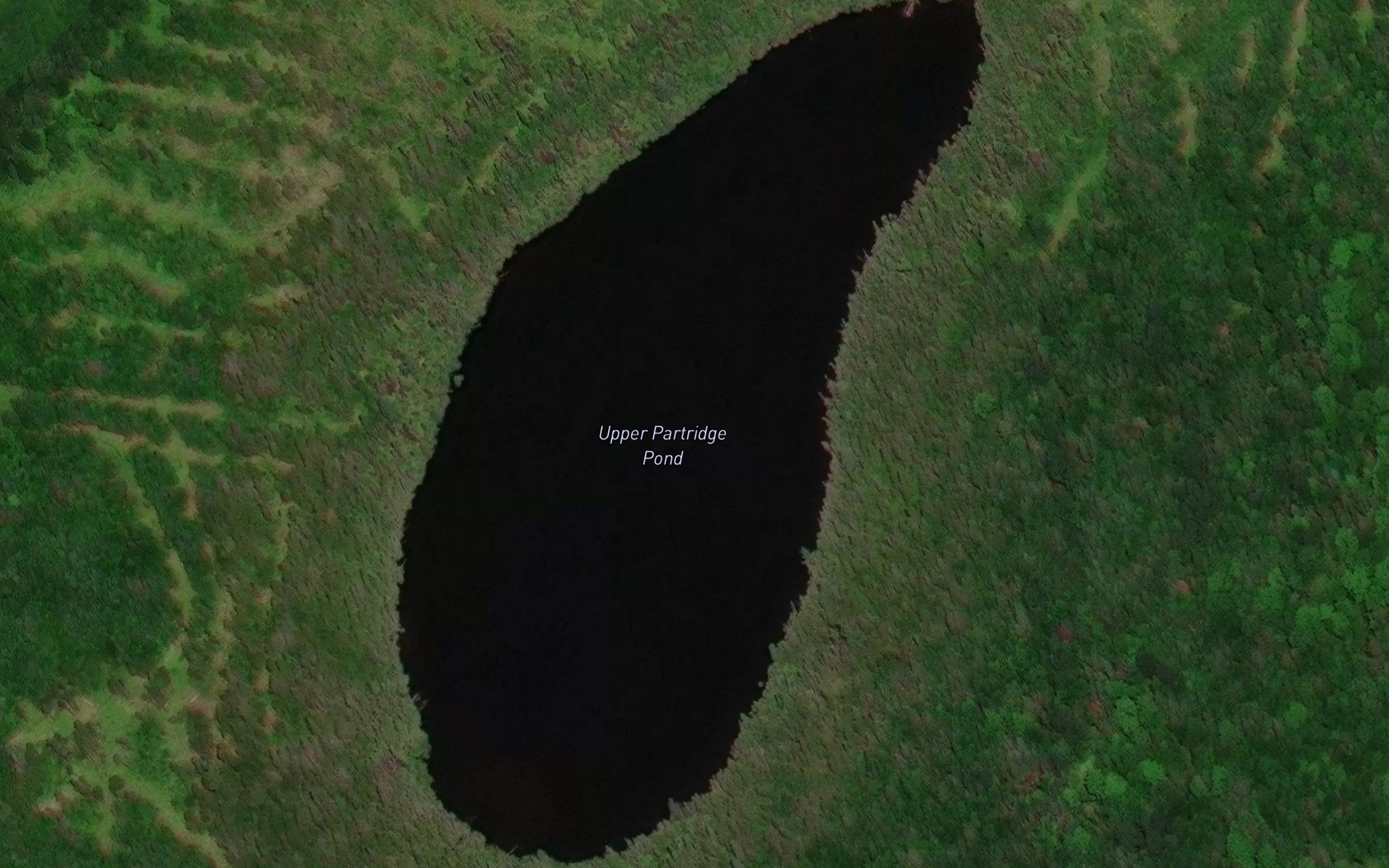 Upper Partridge Pond