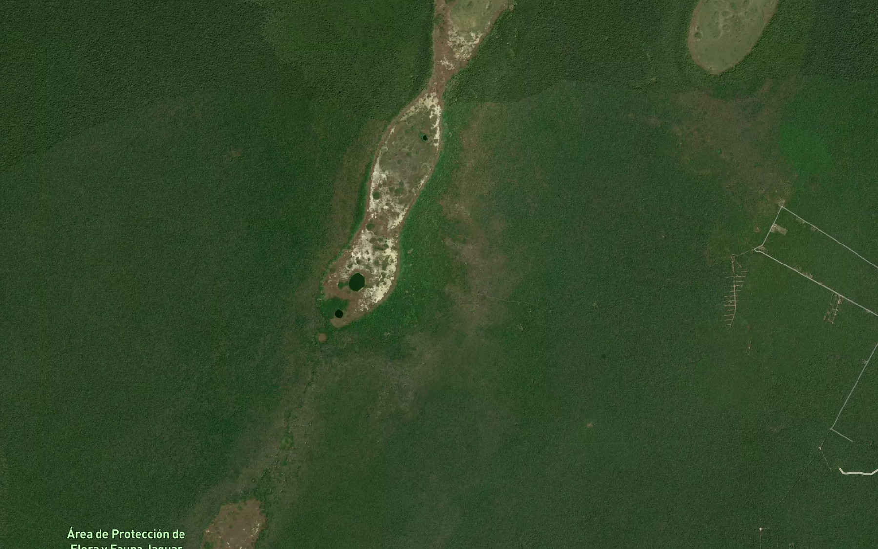 Satellite map of the Lago El Continente