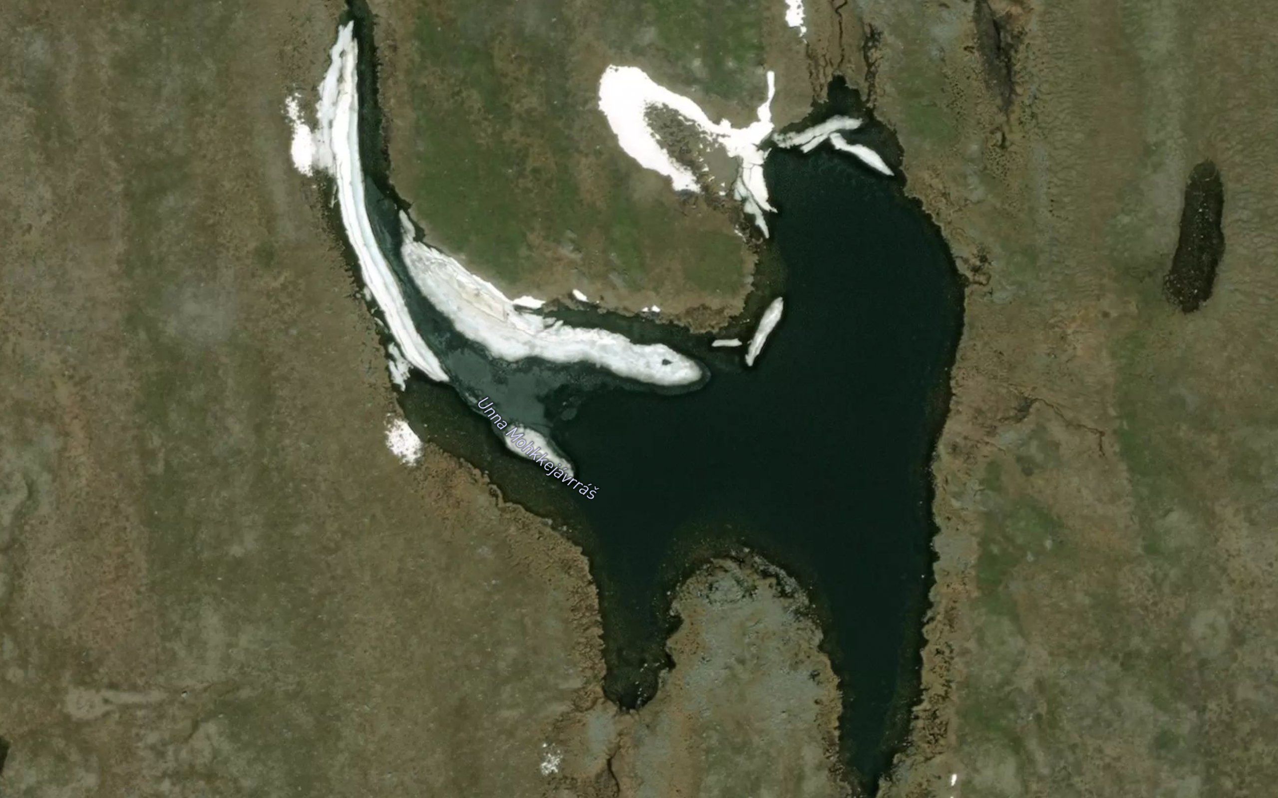 Makkejavras,unna