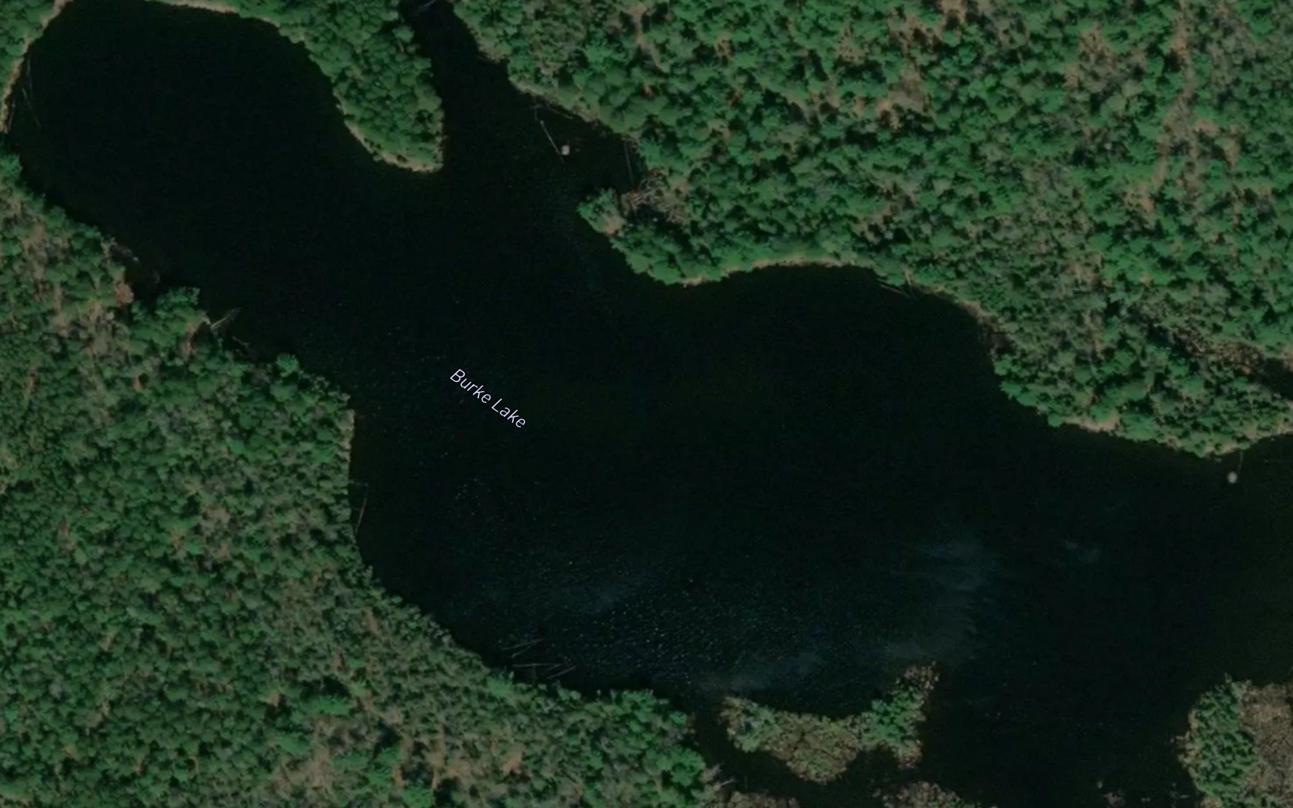 Burke Lake