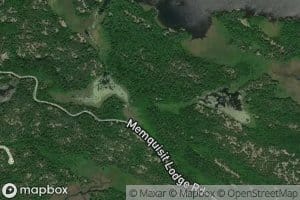 Muskrat Creek