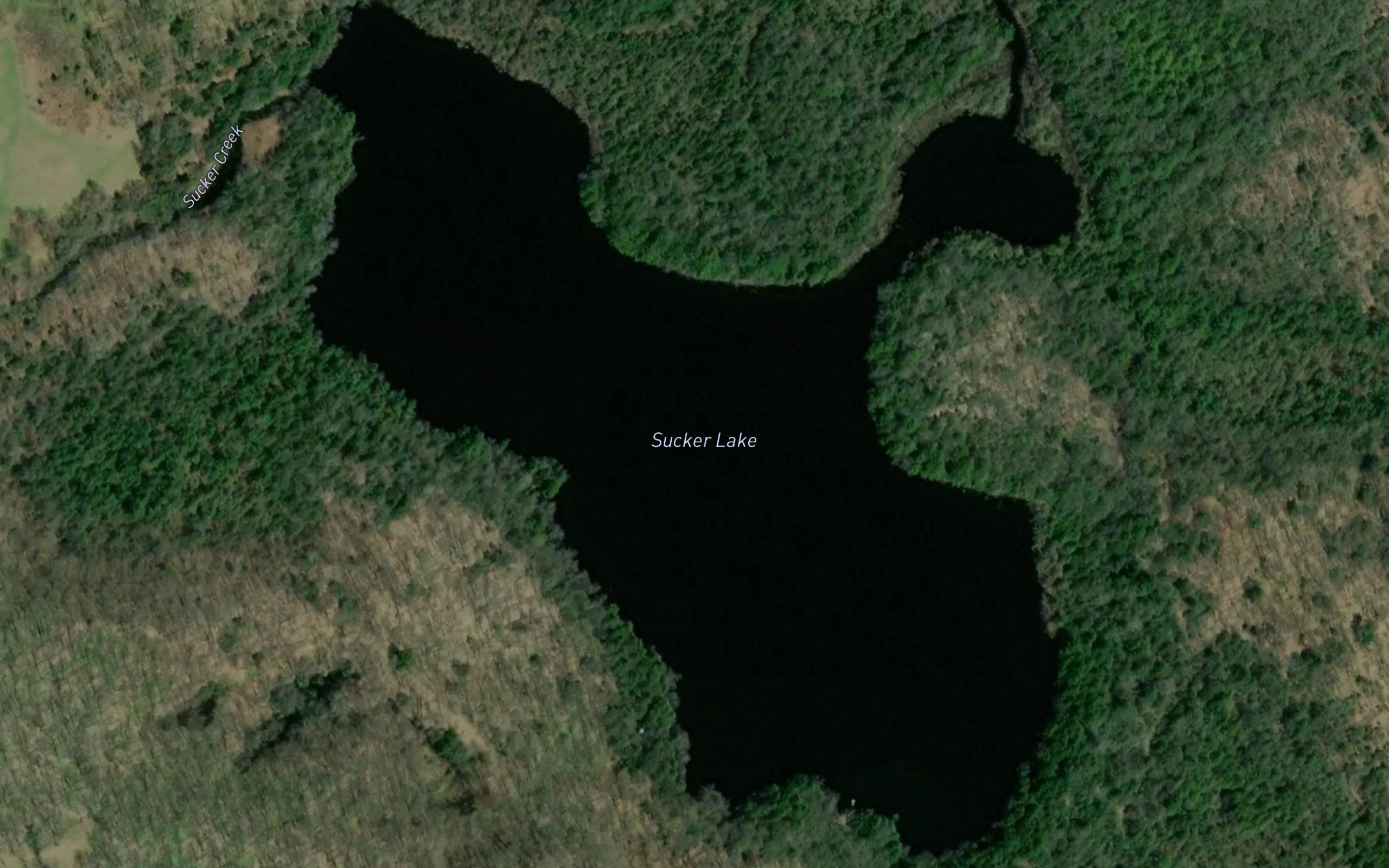 Sucker Lake