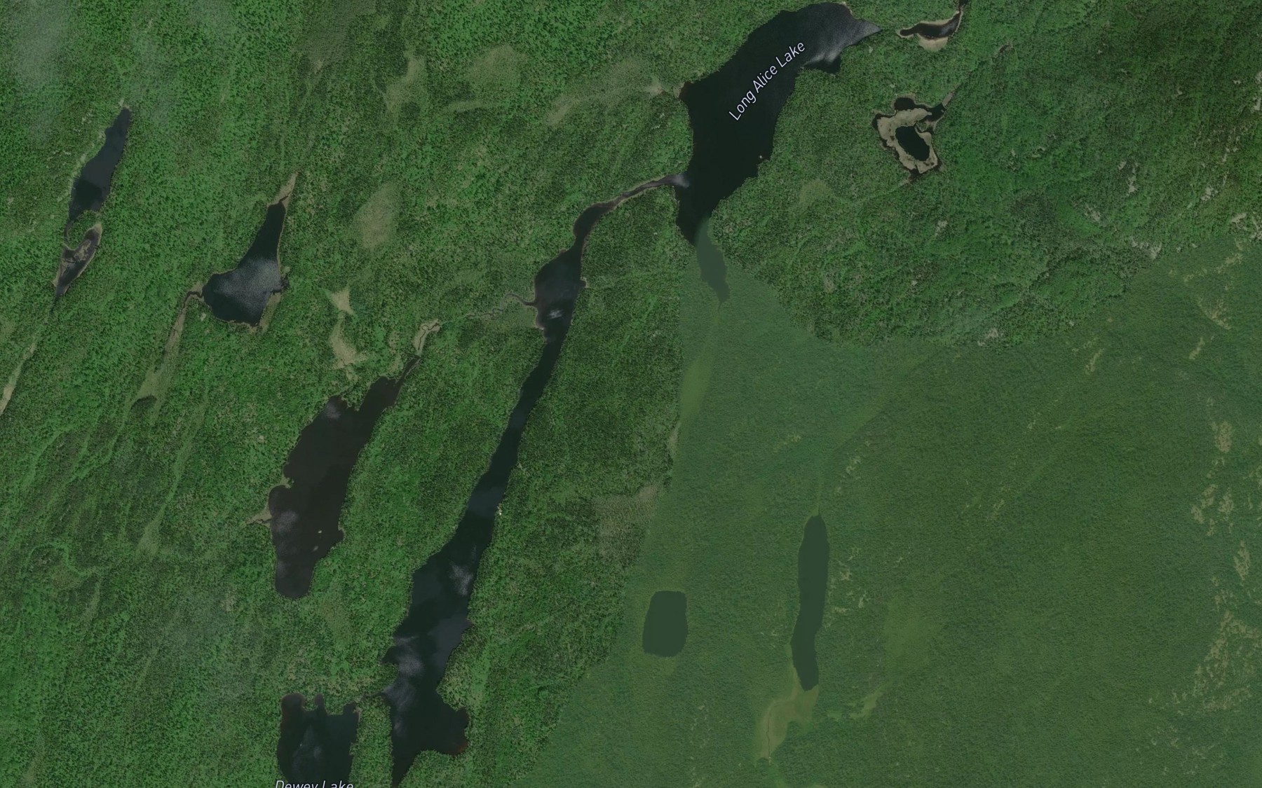 Satellite map of the Long Alice Lake