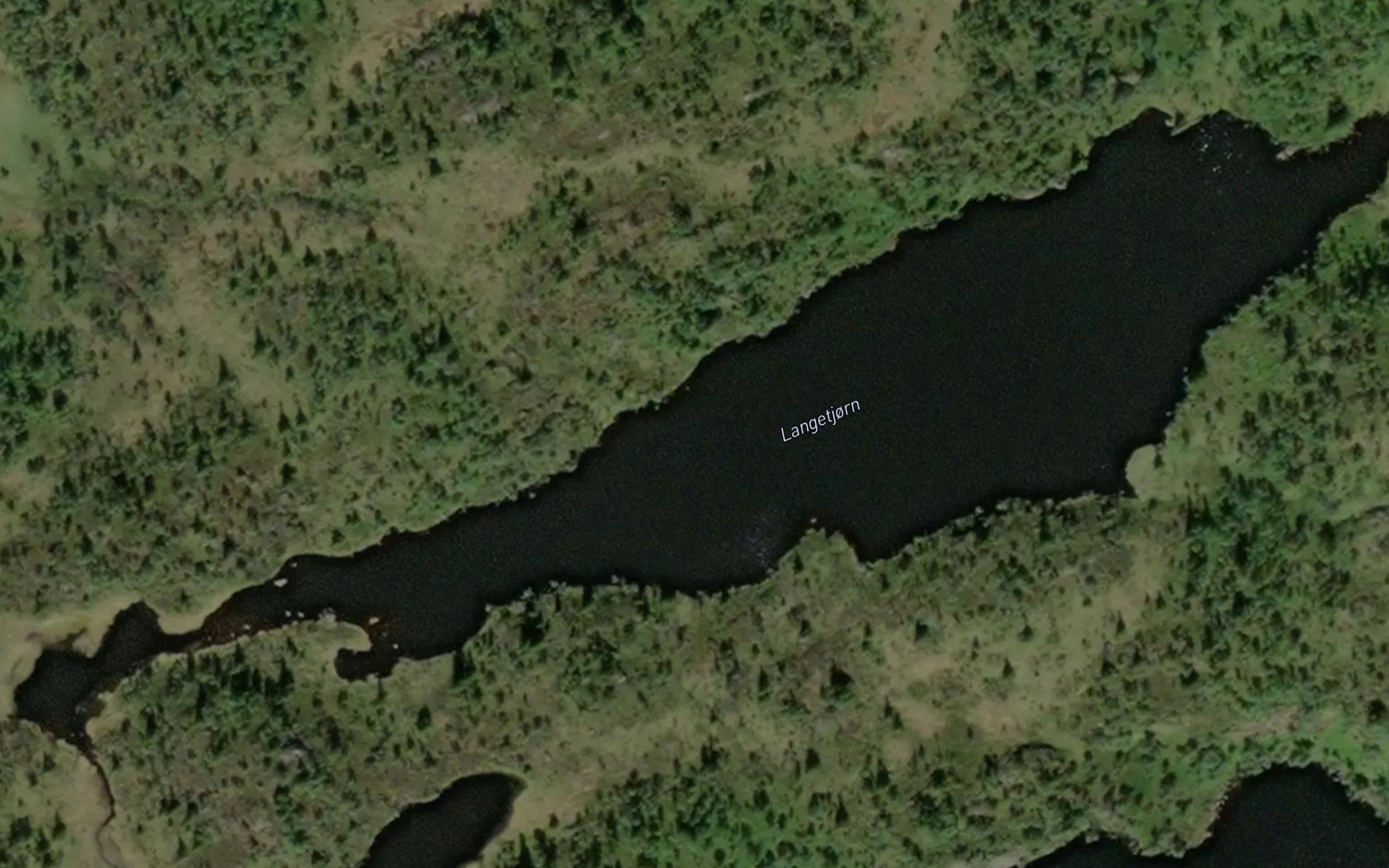 Langetjonn