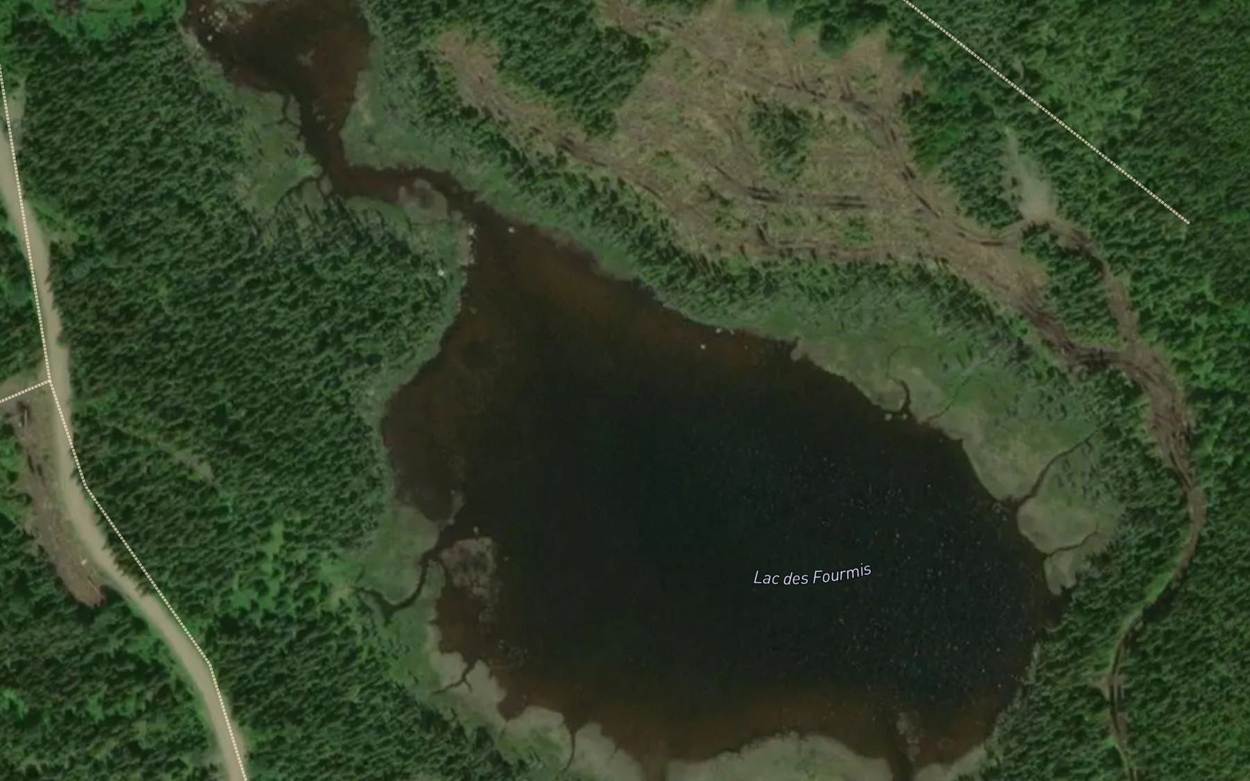 Satellite map of the Lac des Fourmis