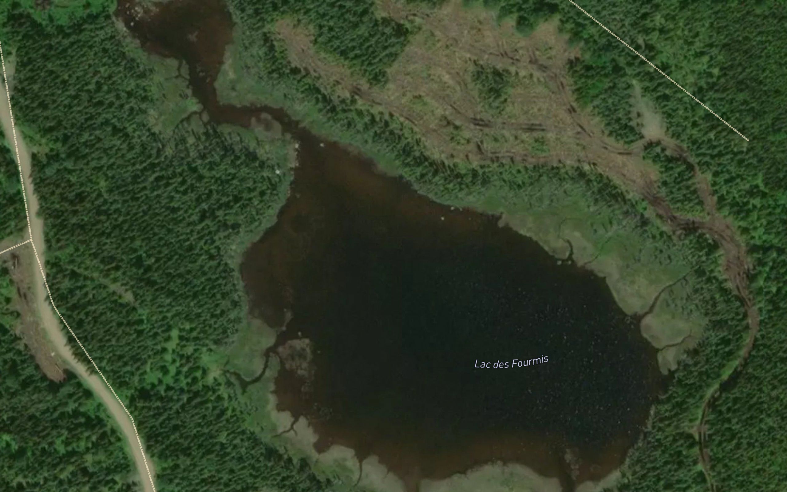 Lac des Fourmis