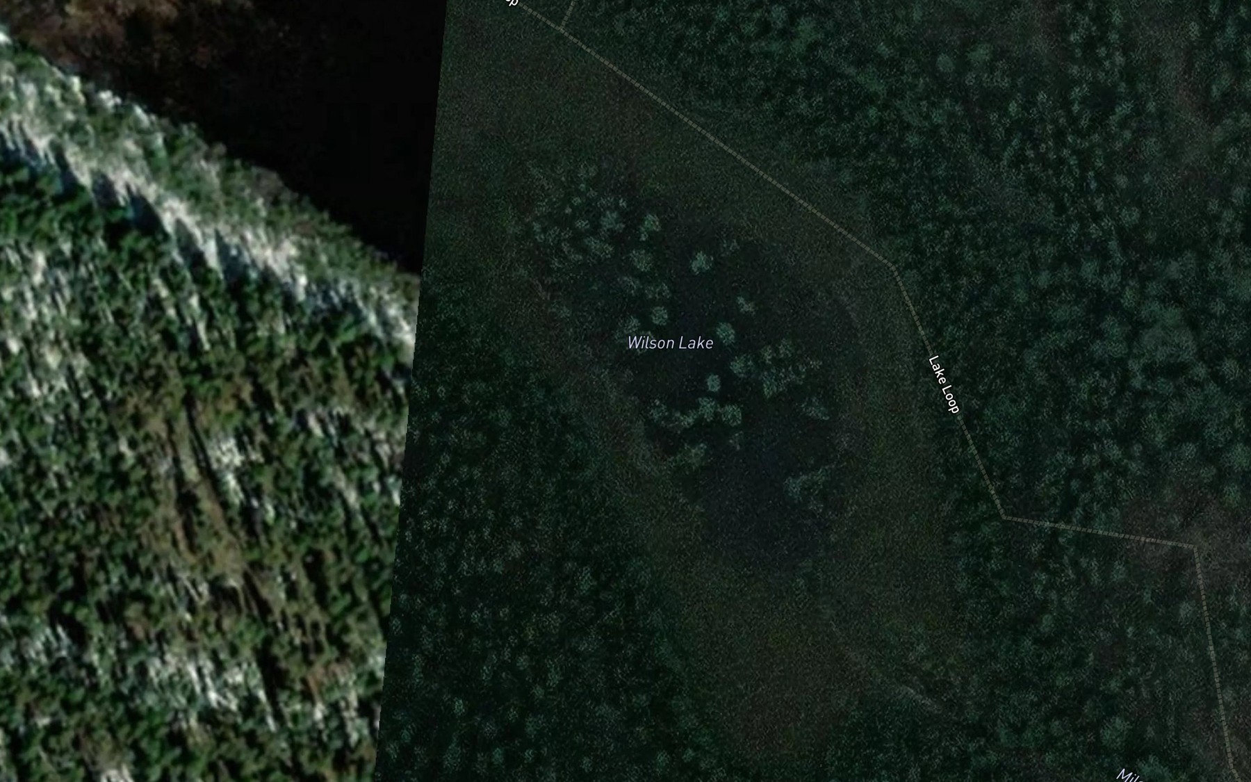 Satellite map of the Wilson Lake