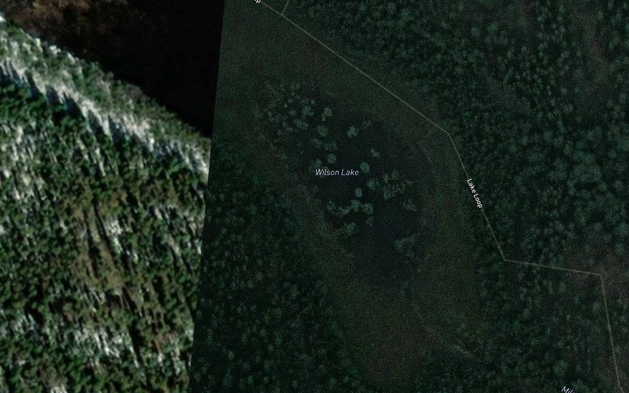 Wilson Lake
