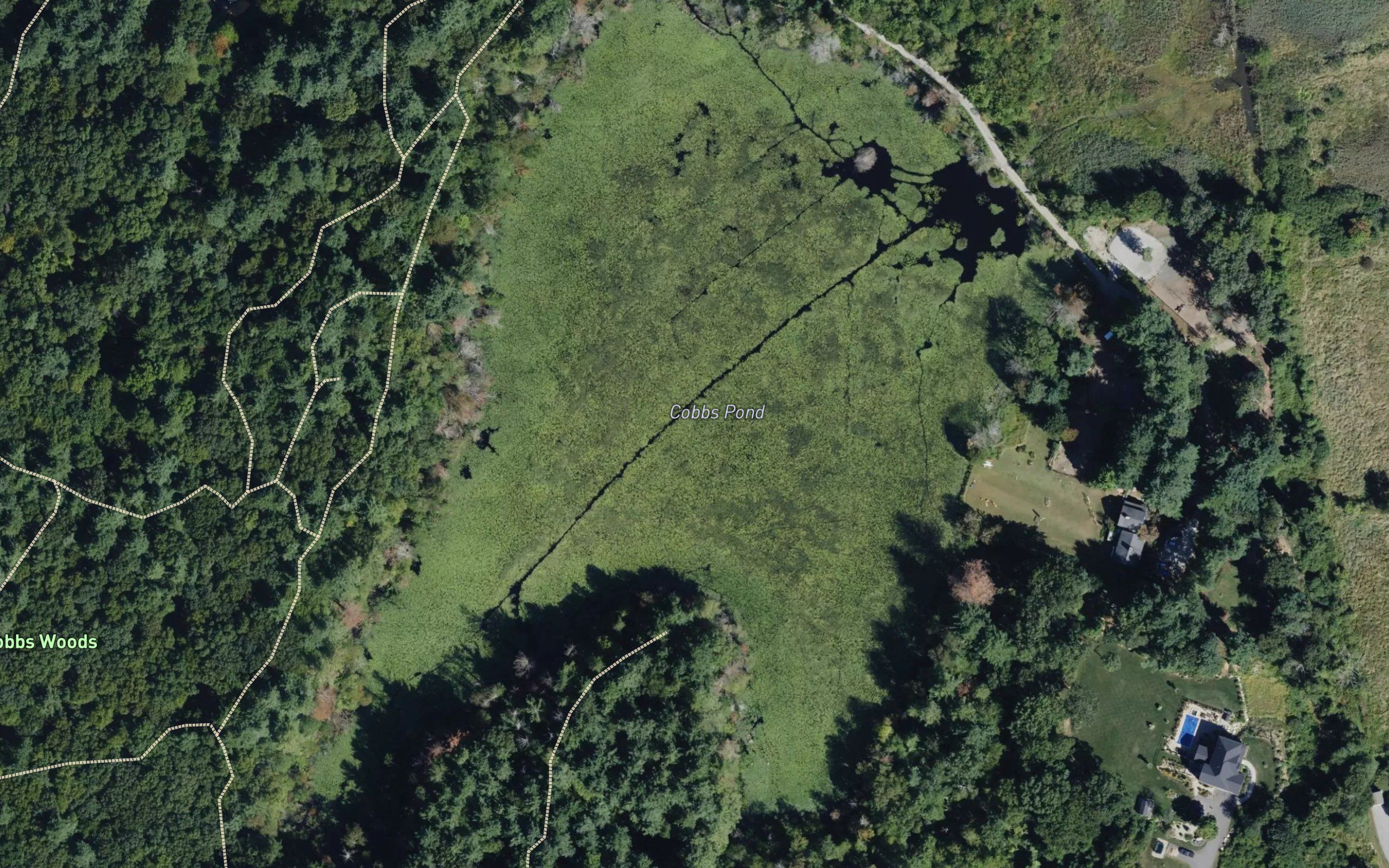Cobbs Pond