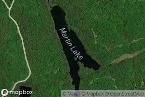 Martin Lake