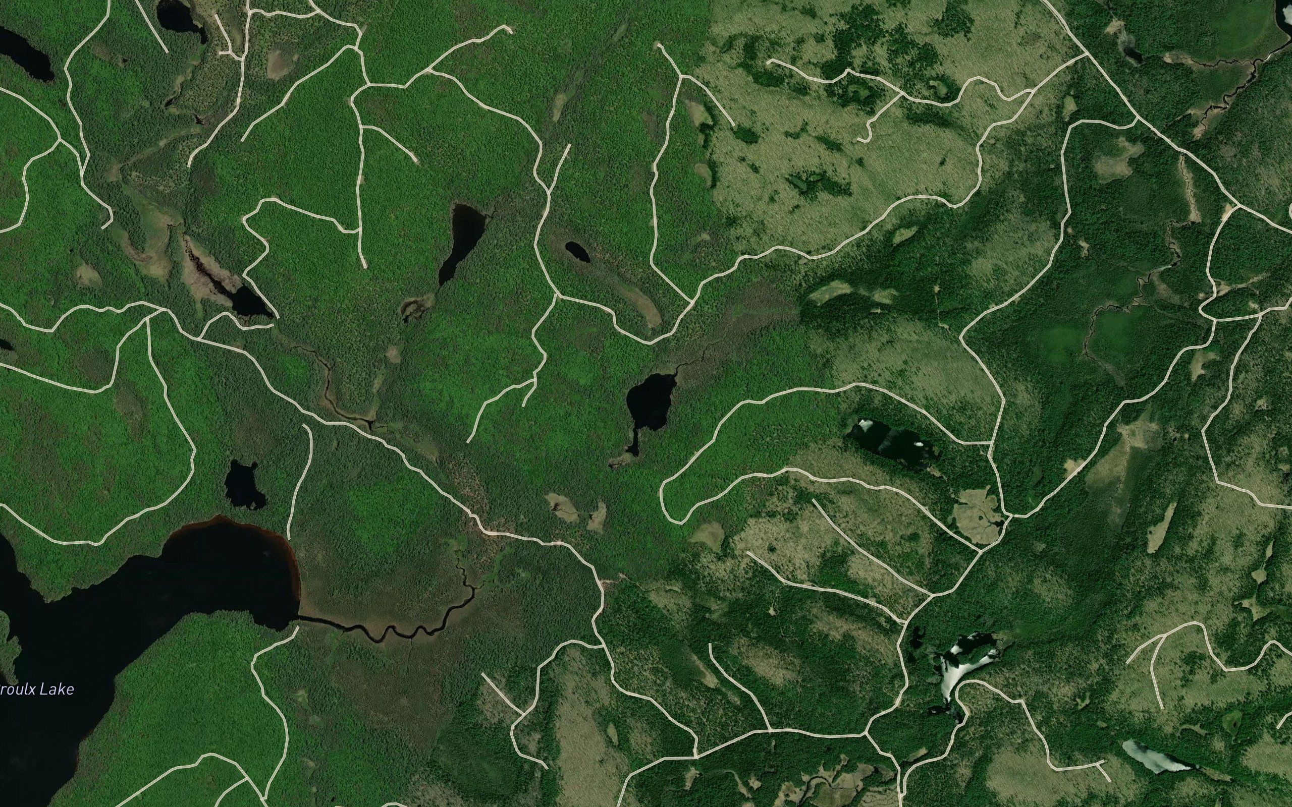 Koko Lake