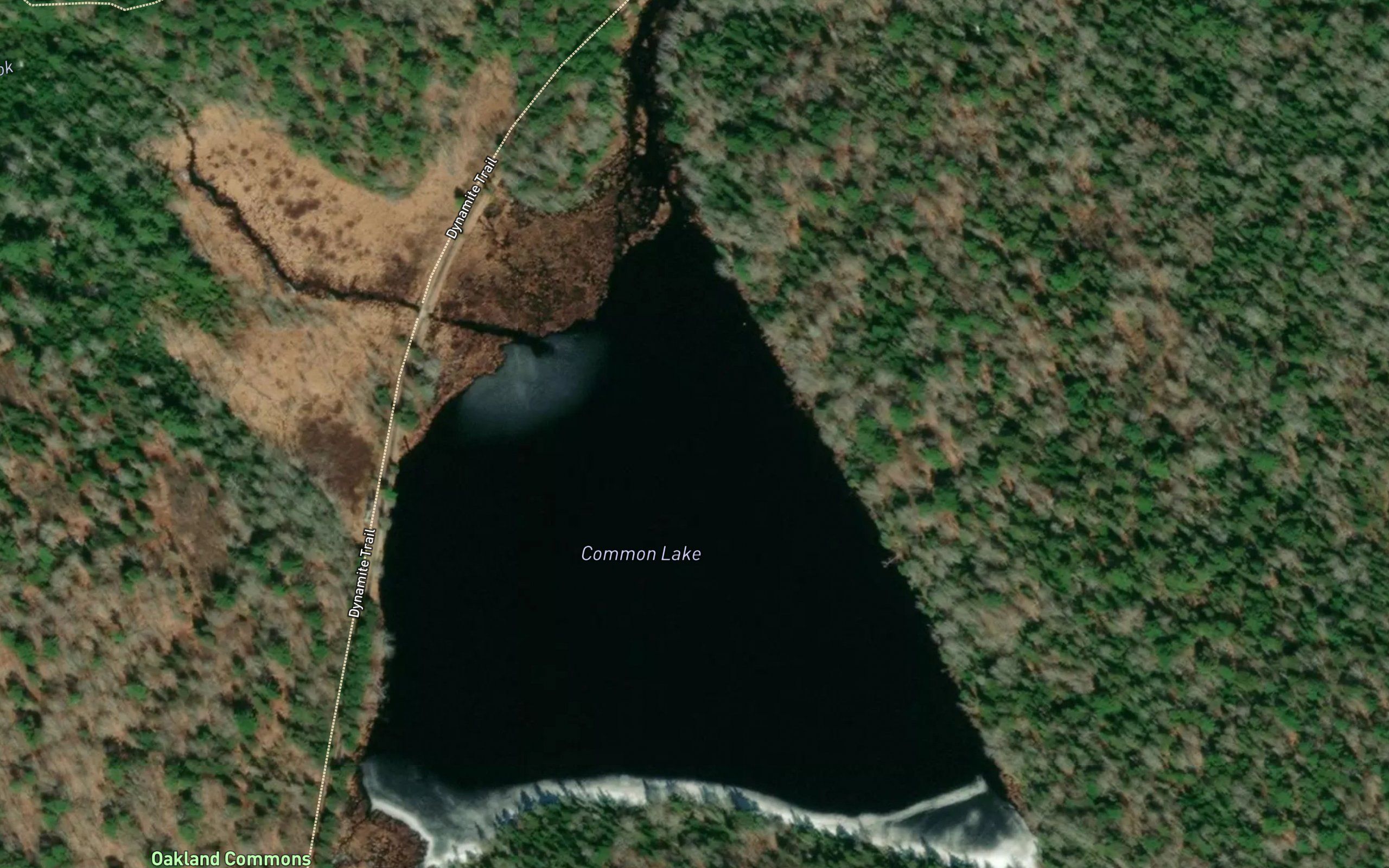 Common Lake