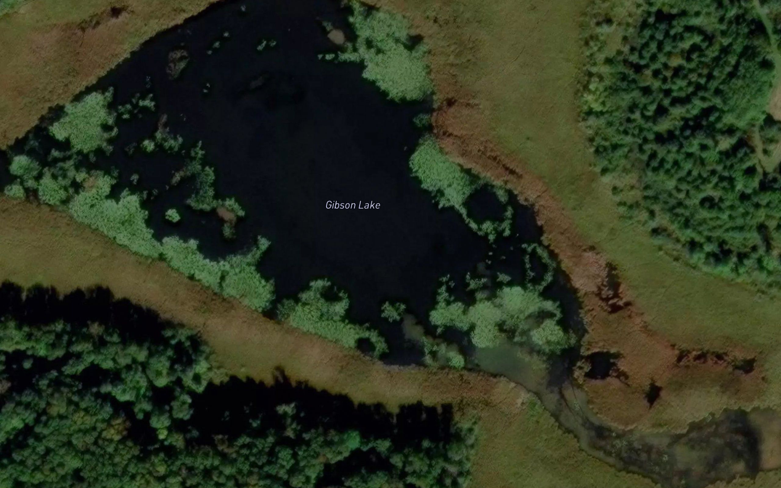 Gibson Lake