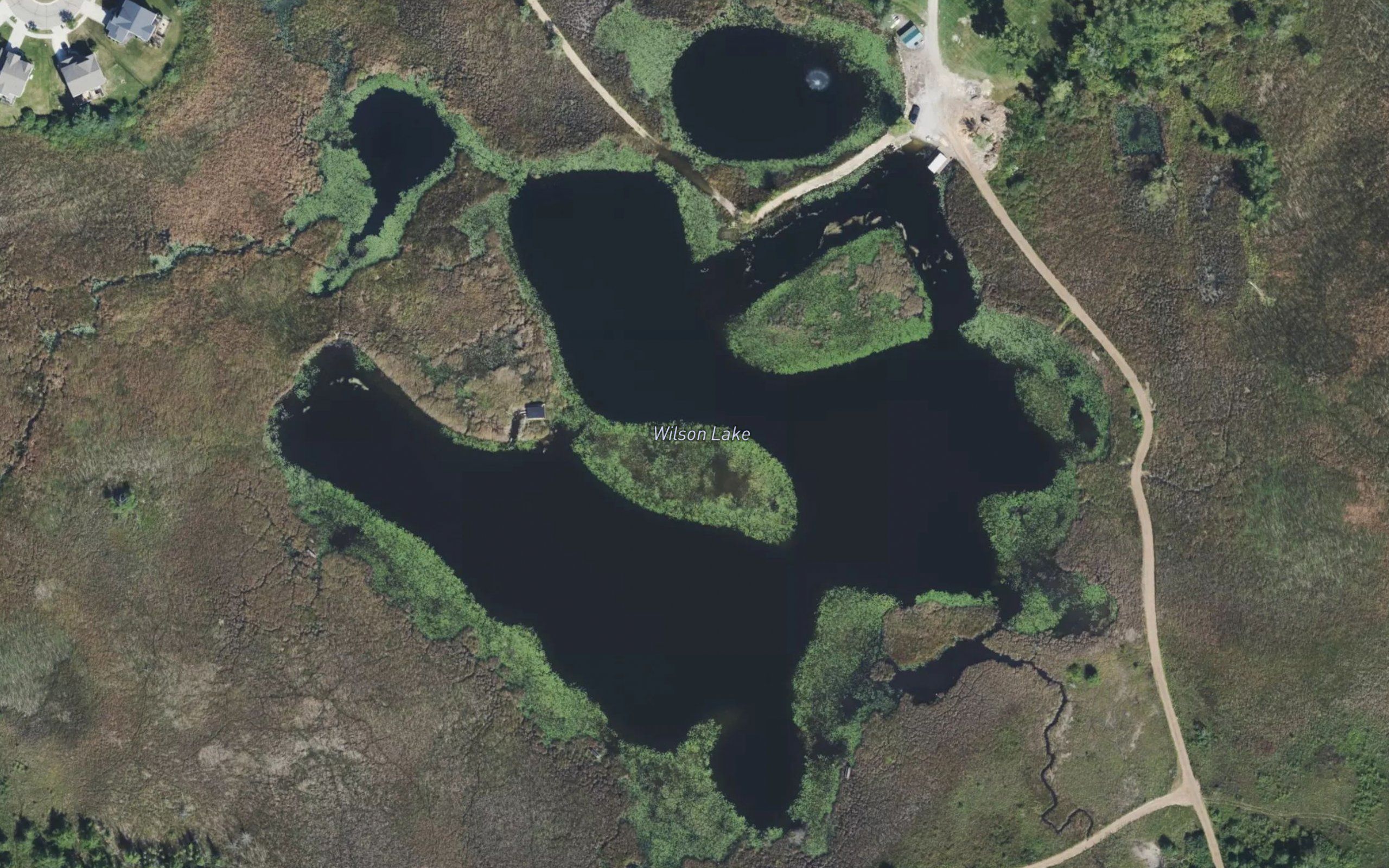 Wilson Lake