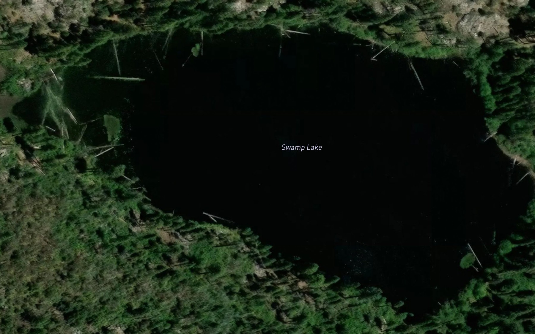 Satellite map of the Swamp Lake