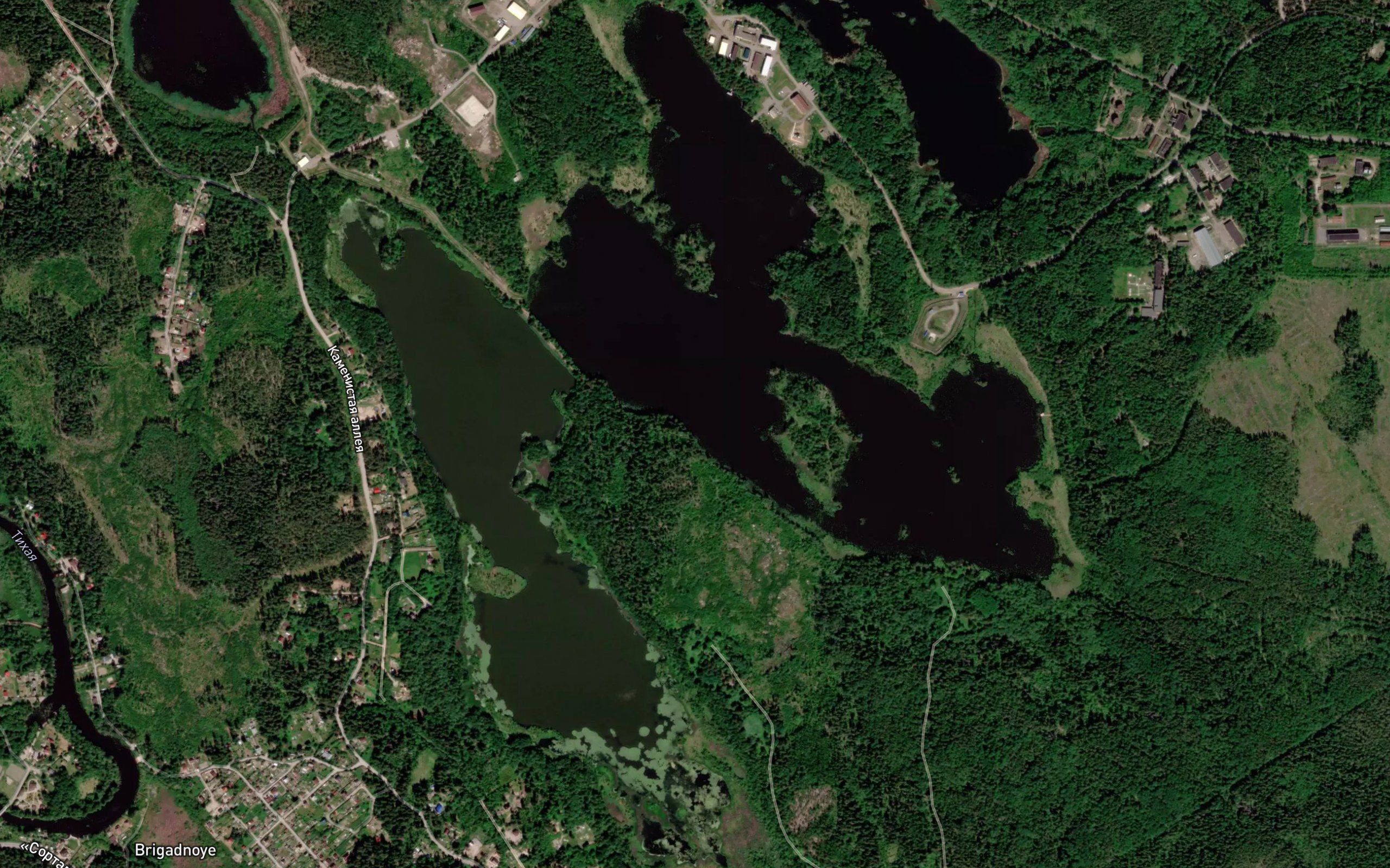 Ozero Drozdovo