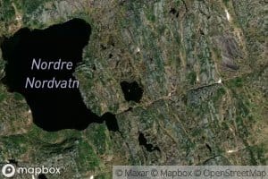 Pinneviktjodn