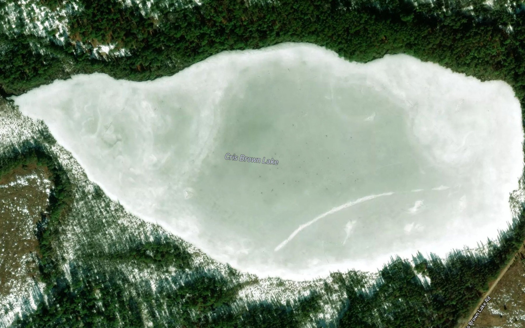 Satellite map of the Cris Brown Lake