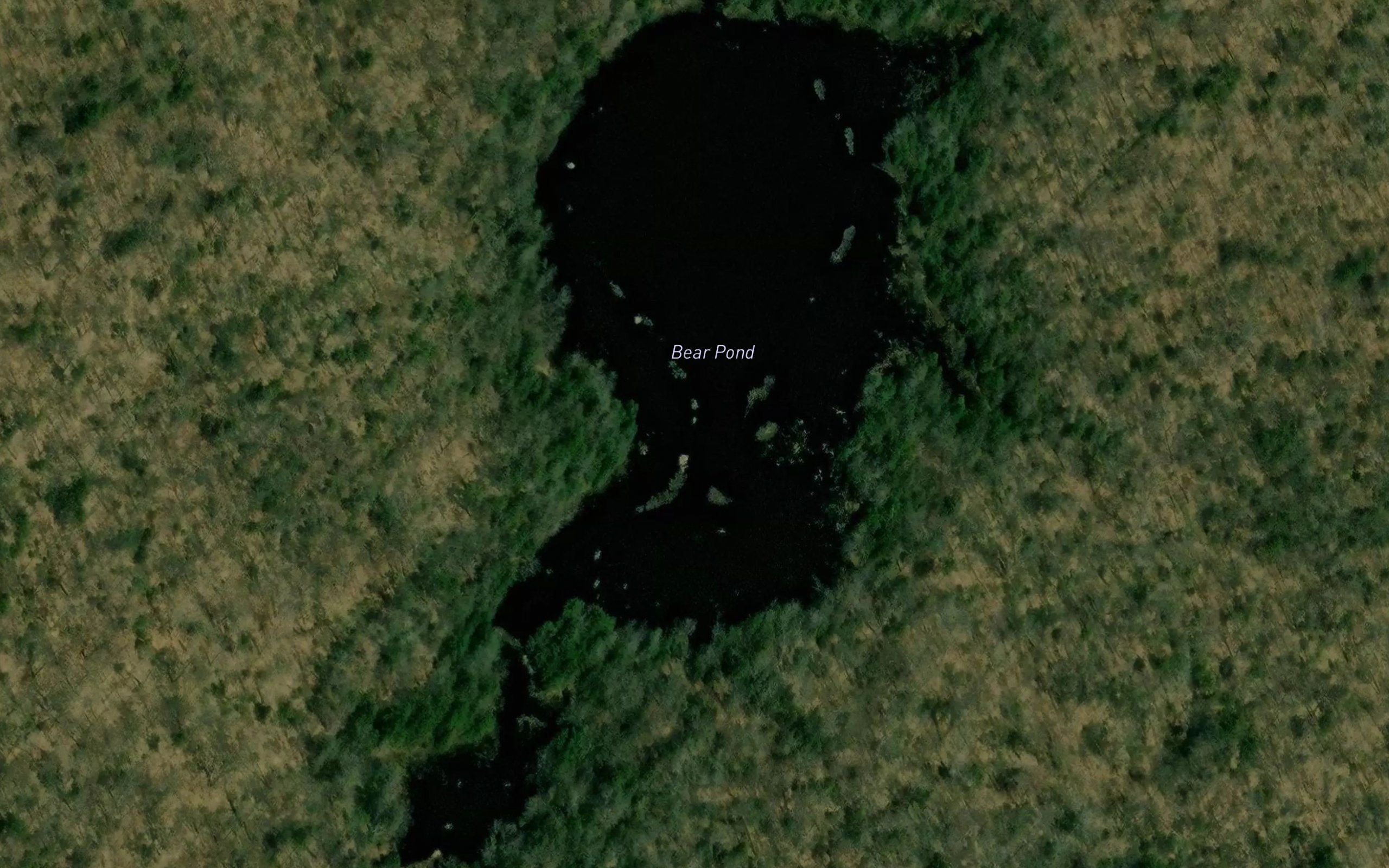 Bear Pond