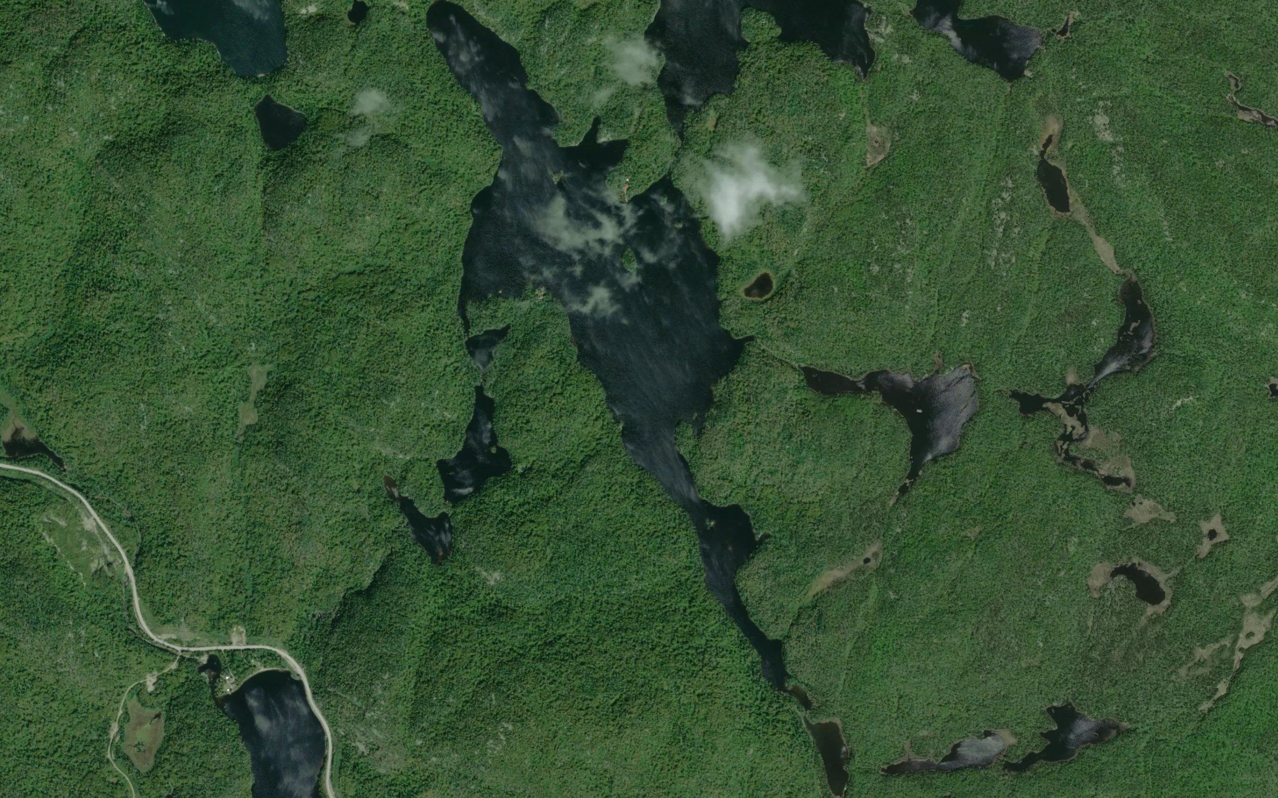 Lower Ross Lake