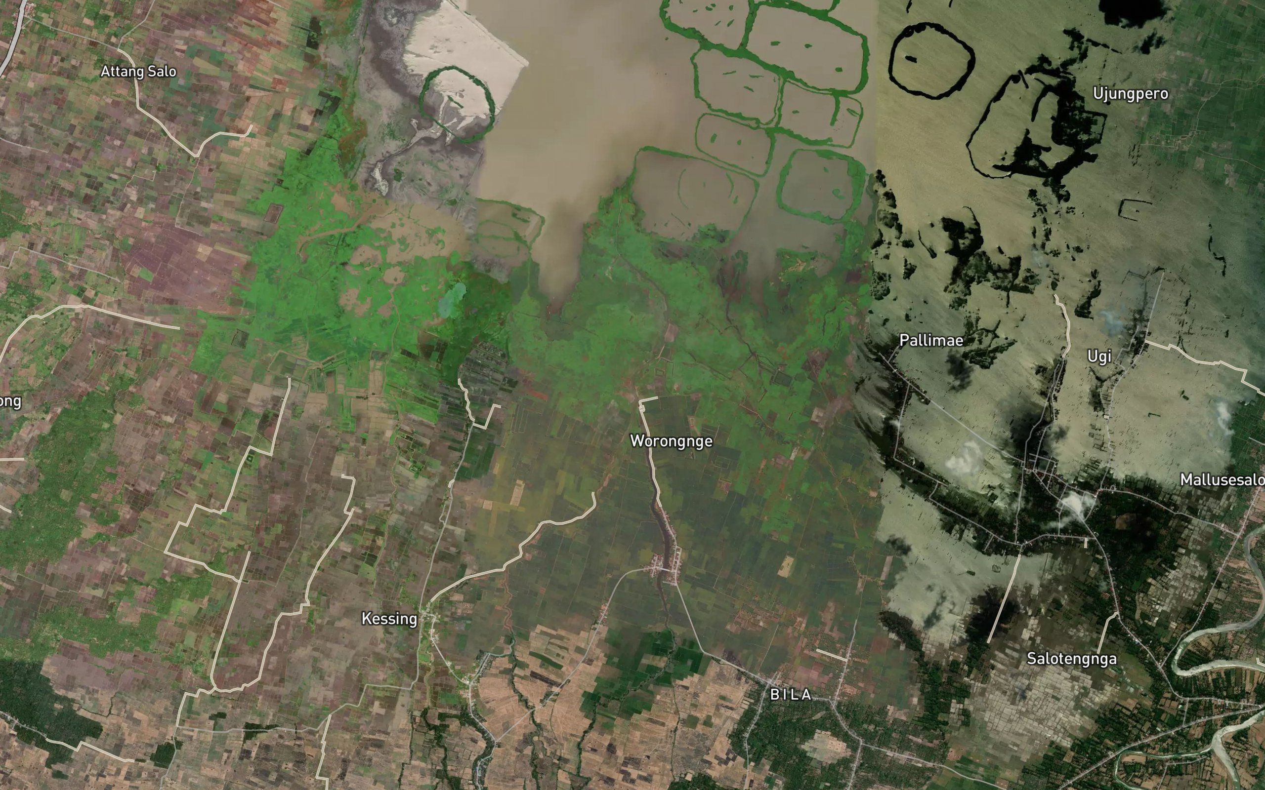Salo Munyili